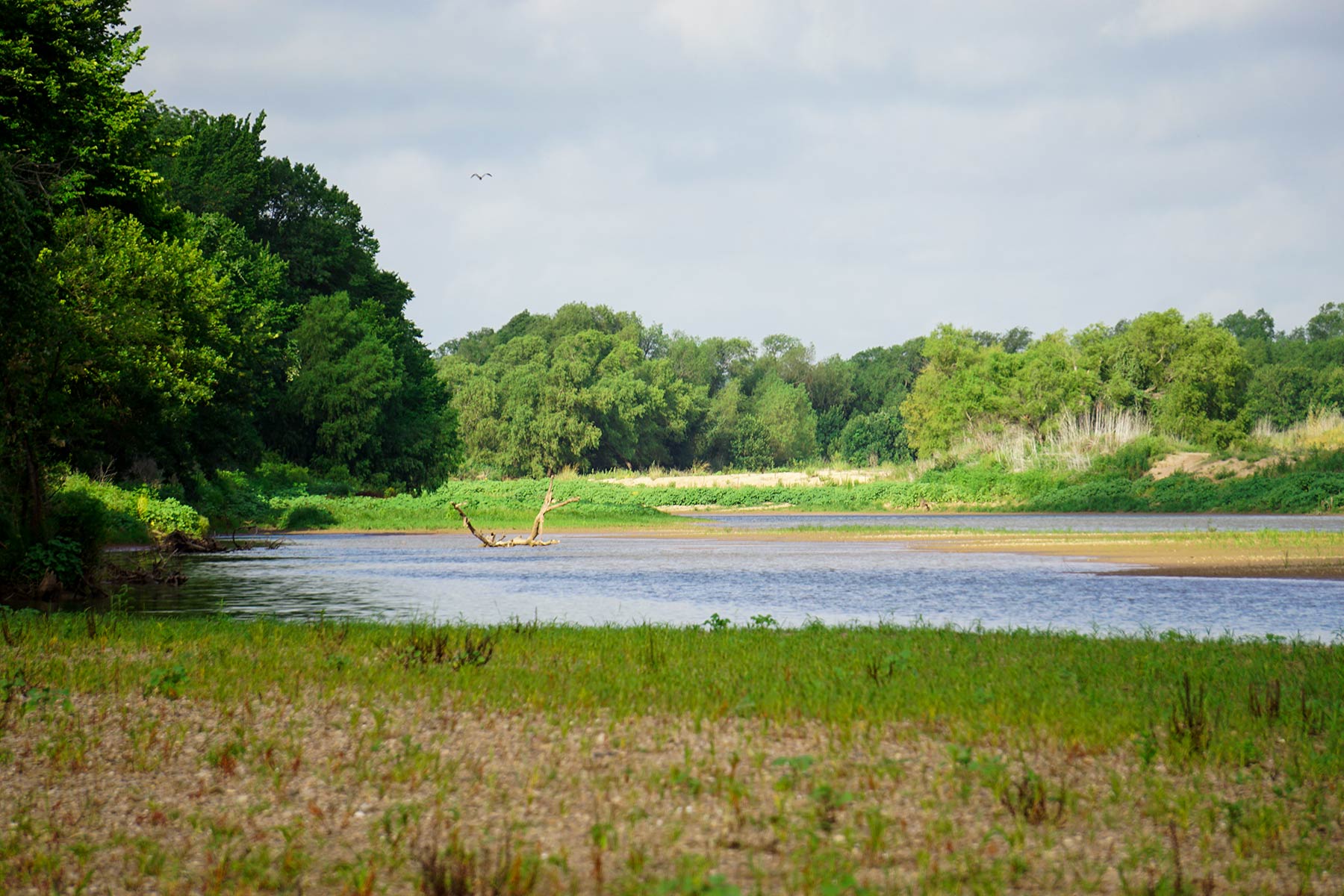 McCrary Ranch property picture 46 of 56