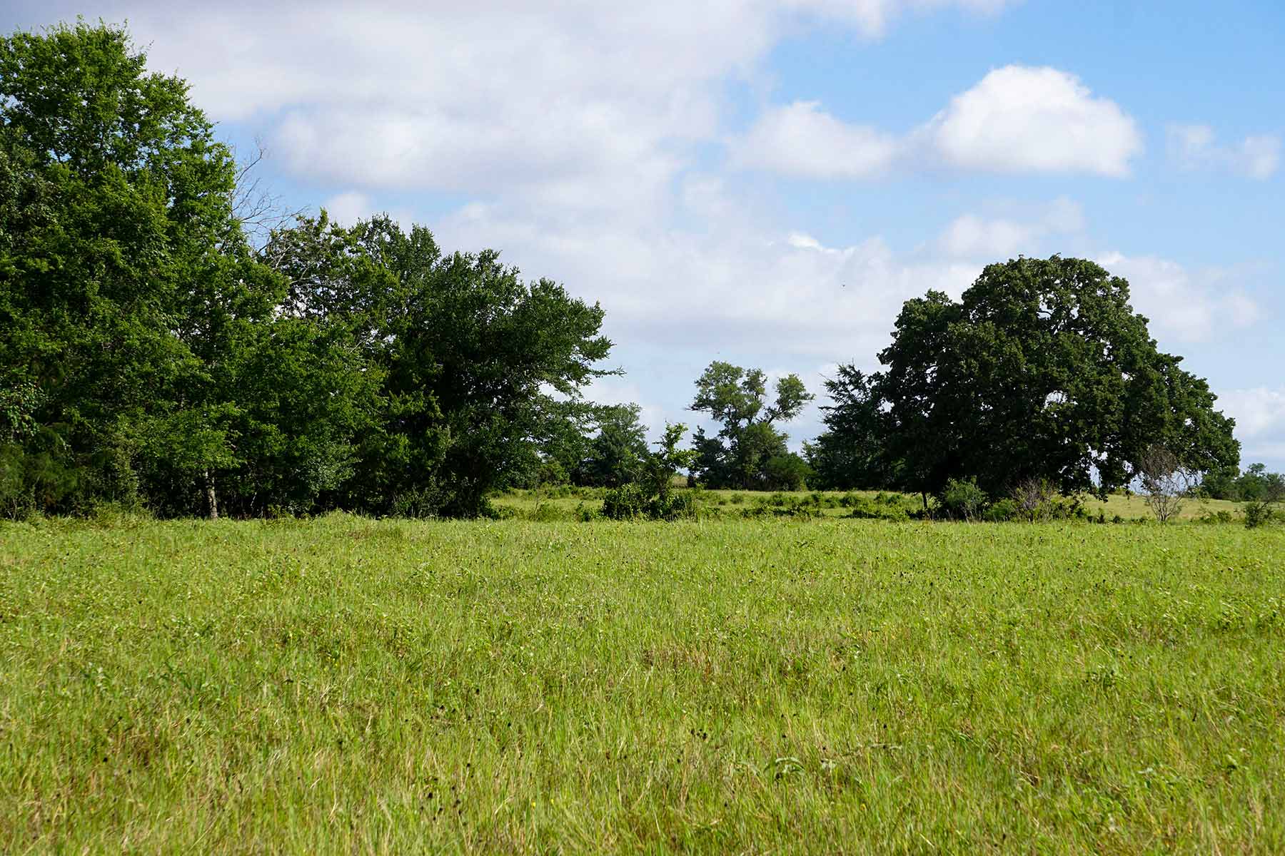 McCrary Ranch property picture 18 of 56