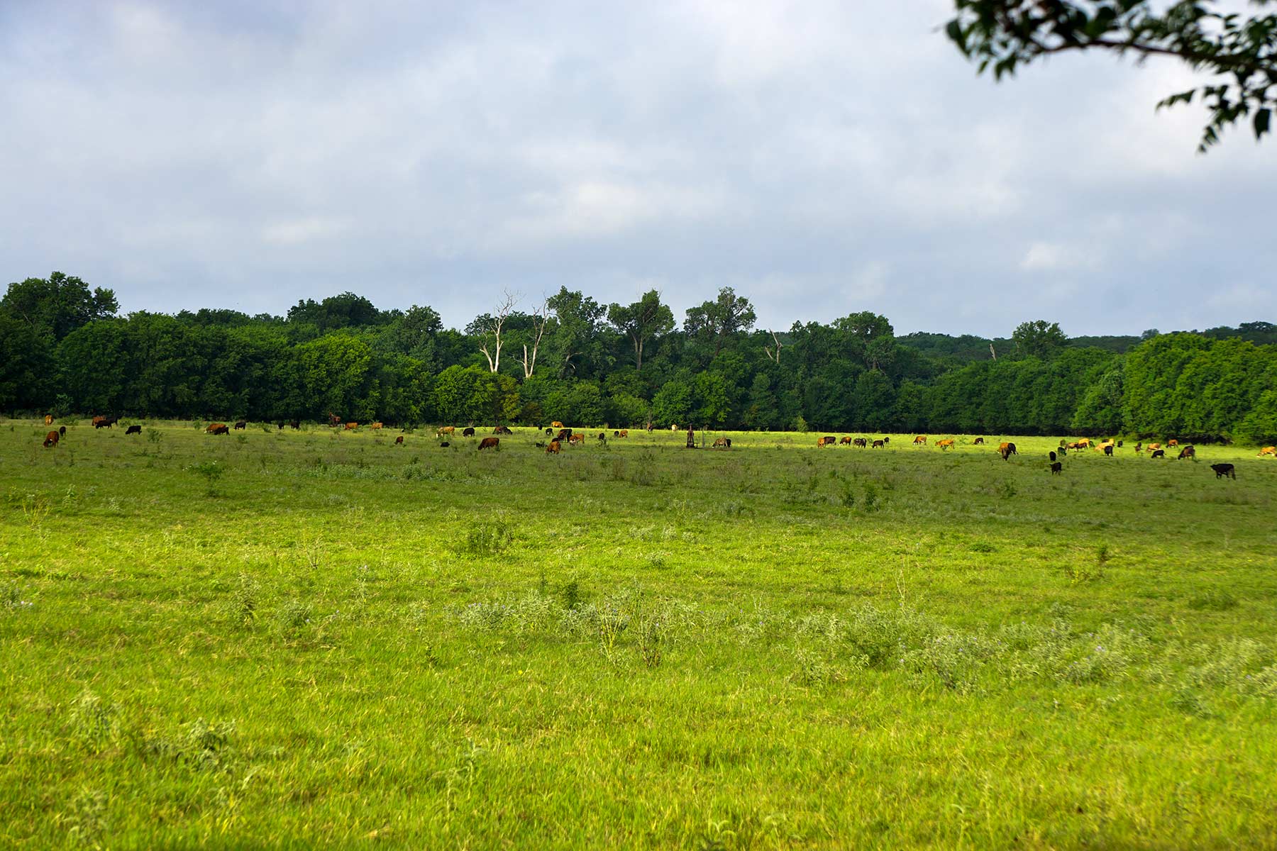 McCrary Ranch property picture 15 of 56