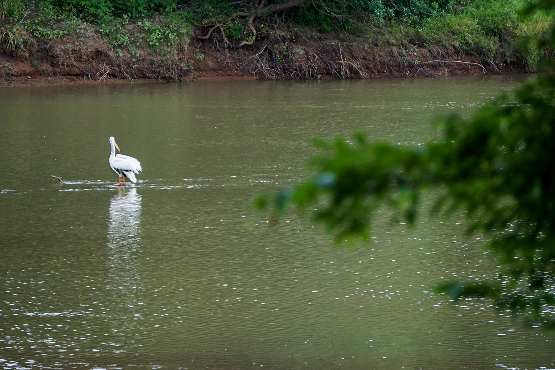 McCrary Ranch property picture 34 of 56