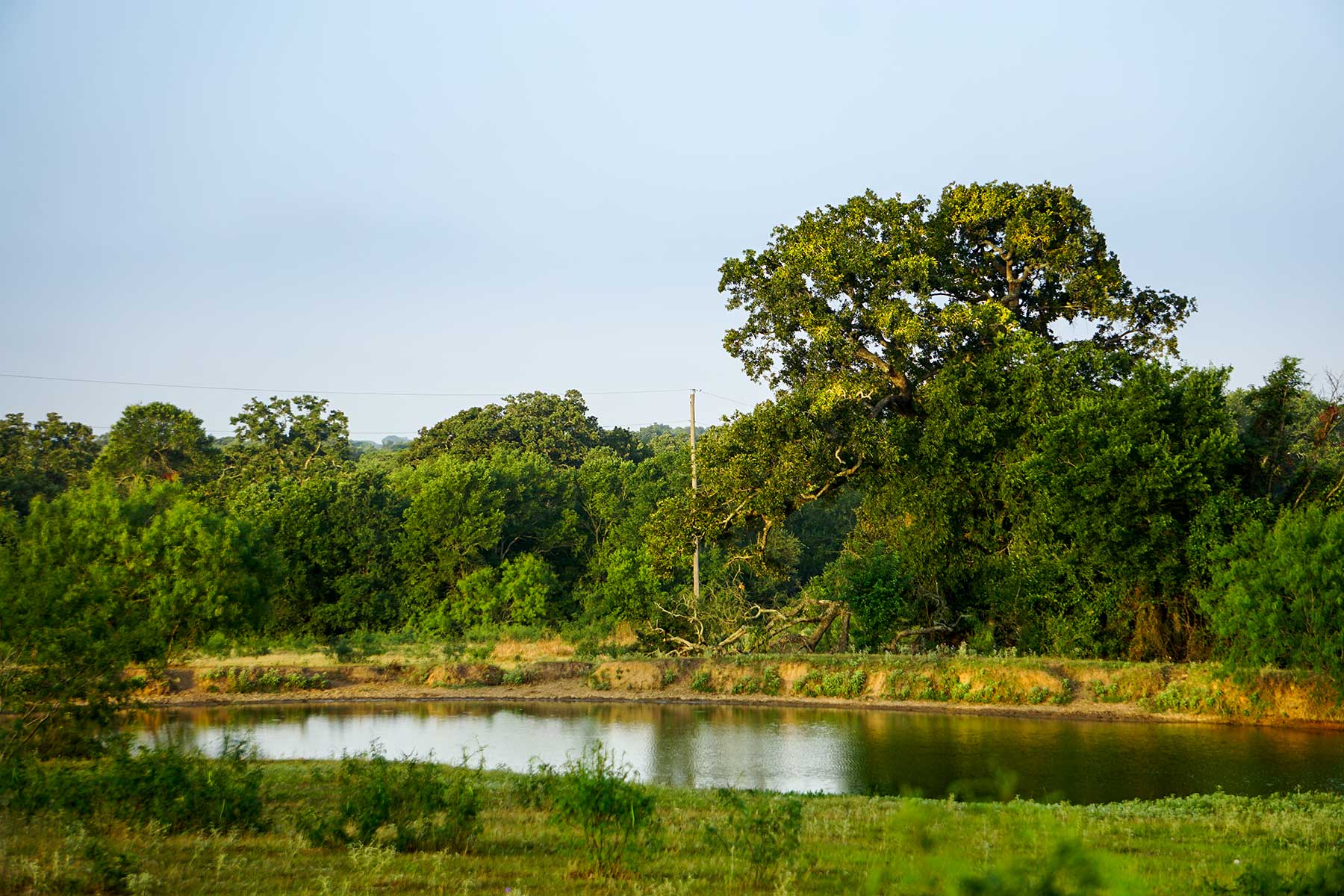 McCrary Ranch property picture 7 of 56