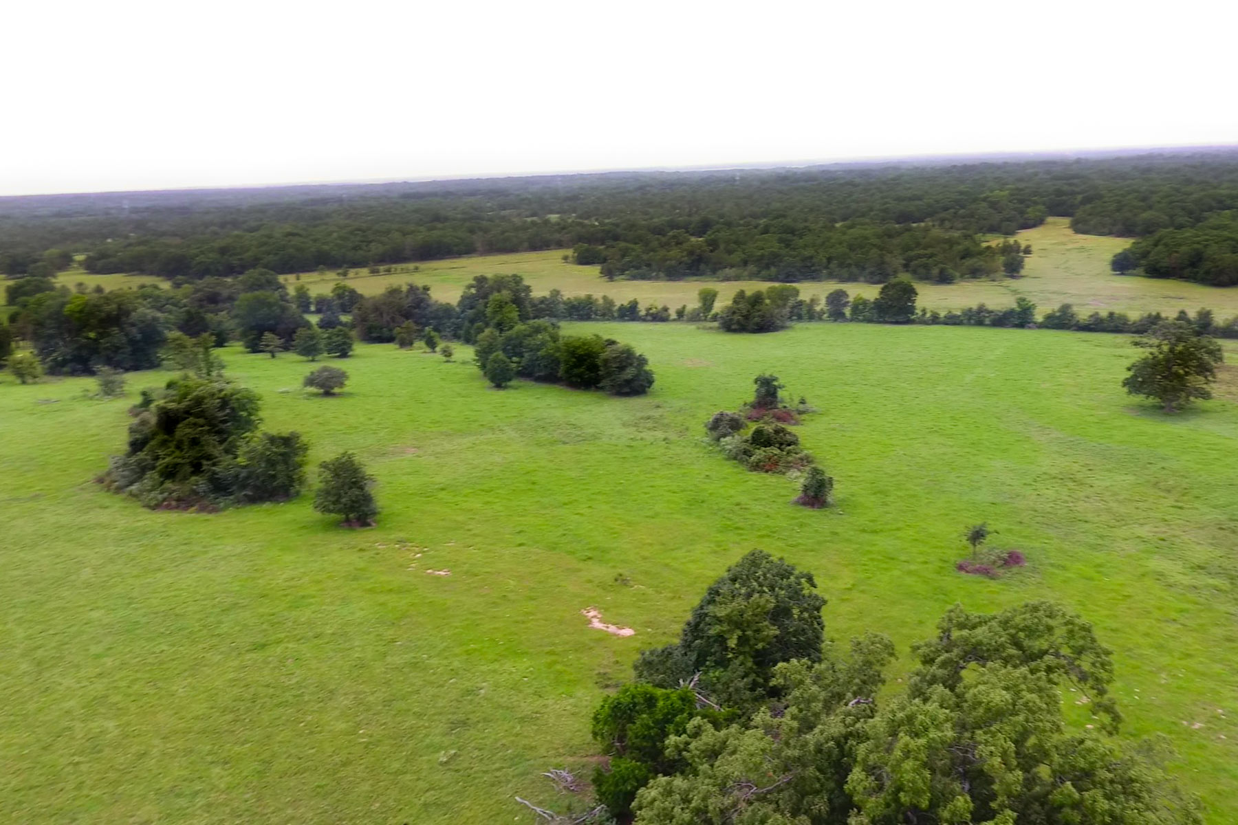 Walnut Creek Ranch property picture 27 of 60