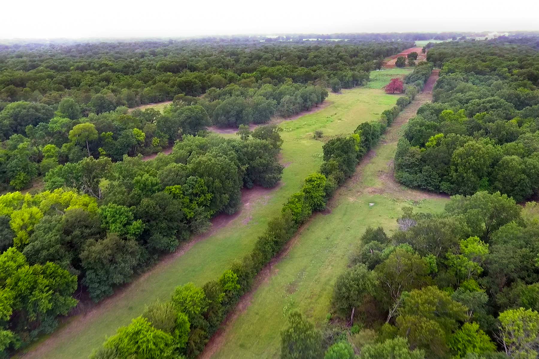 Walnut Creek Ranch Sold Texas Hall and Hall