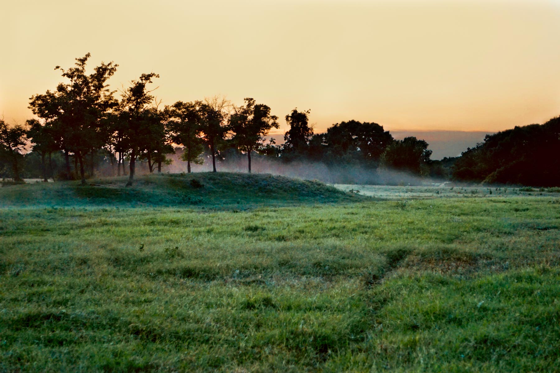 Walnut Creek Ranch property picture 16 of 60