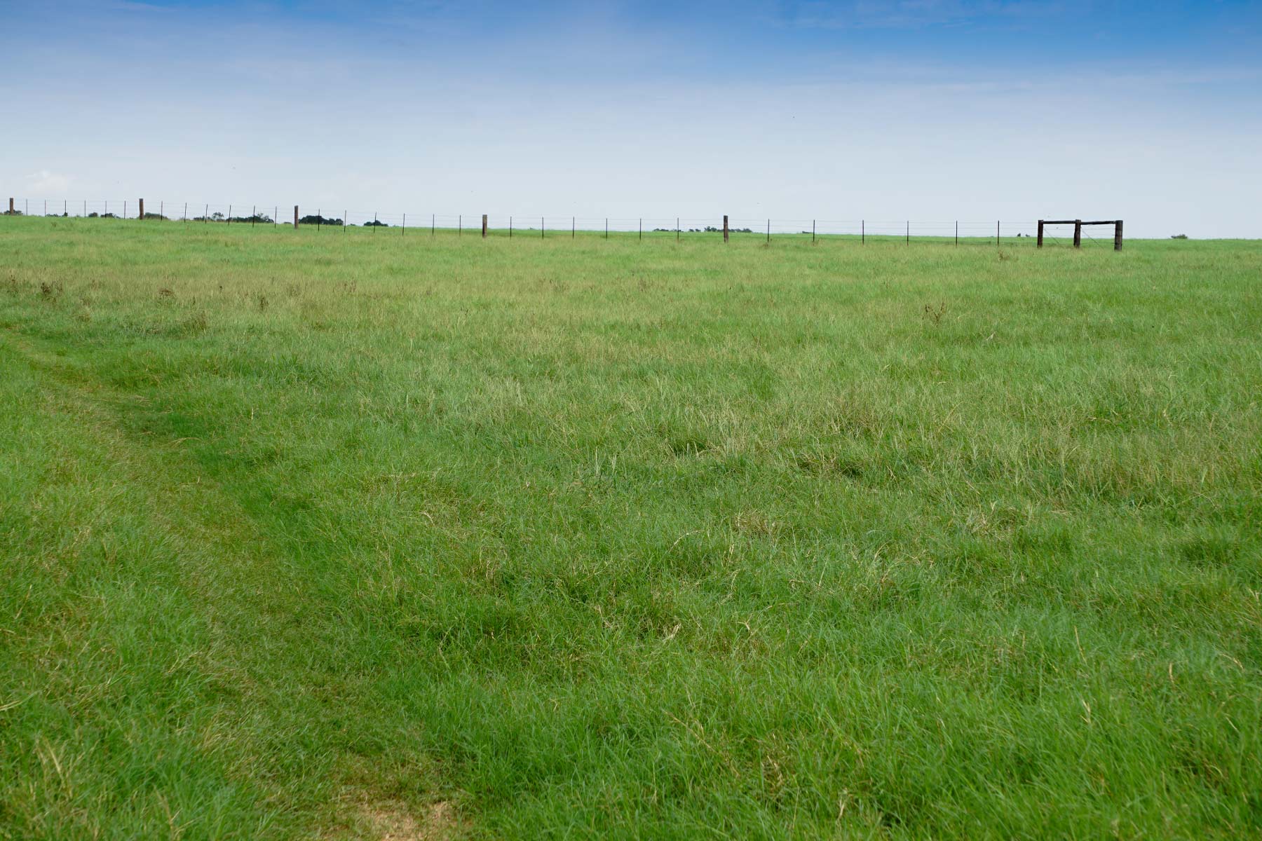 Walnut Creek Ranch property picture 14 of 60