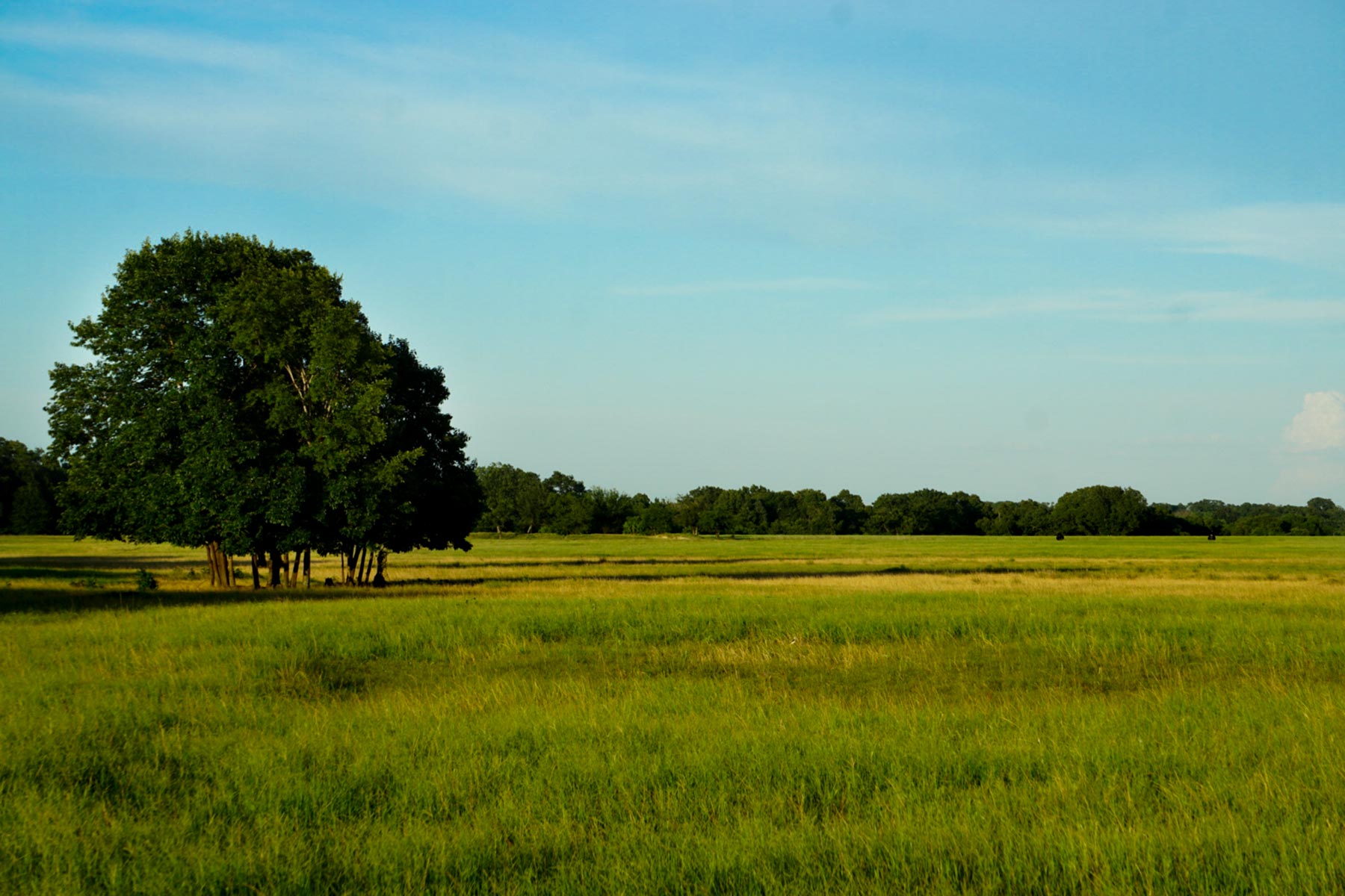 Walnut Creek Ranch property picture 21 of 60