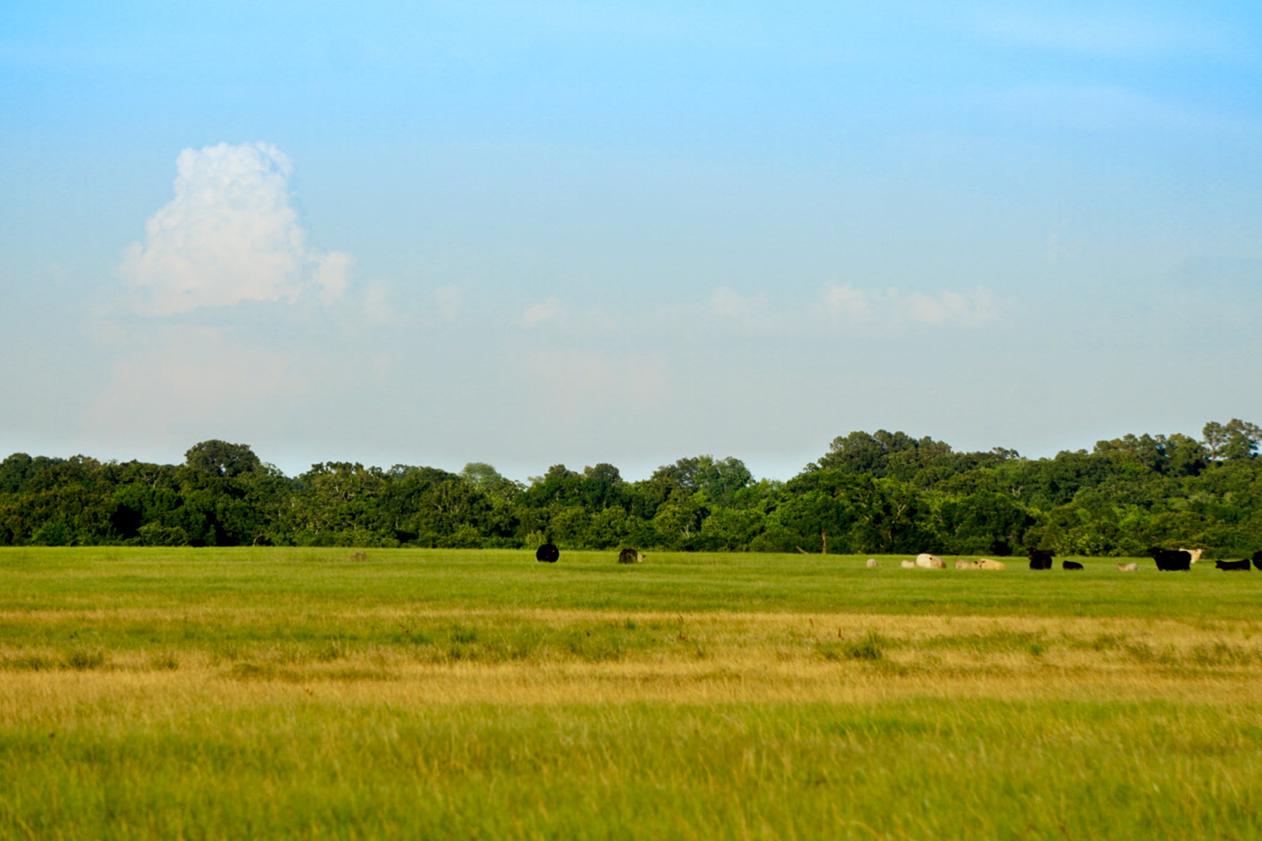 Walnut Creek Ranch property picture 36 of 60