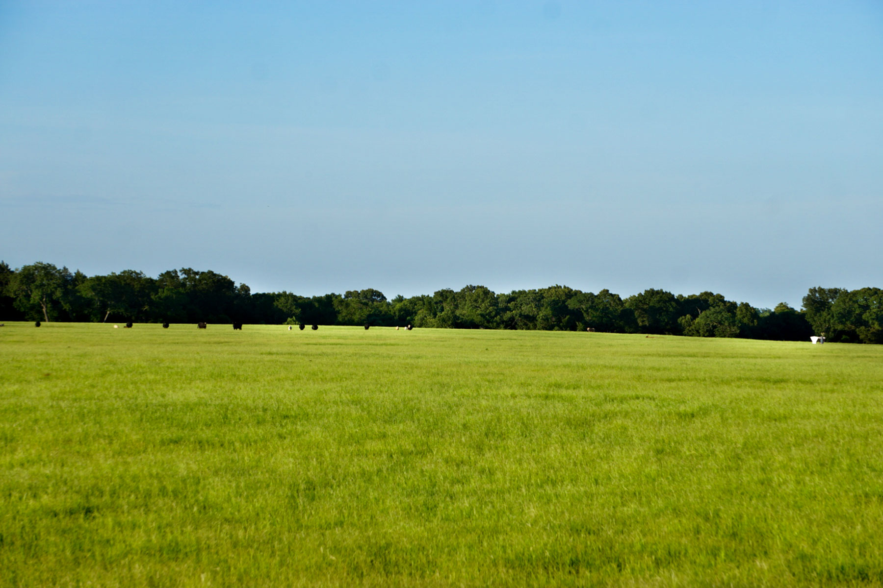 Walnut Creek Ranch property picture 25 of 60