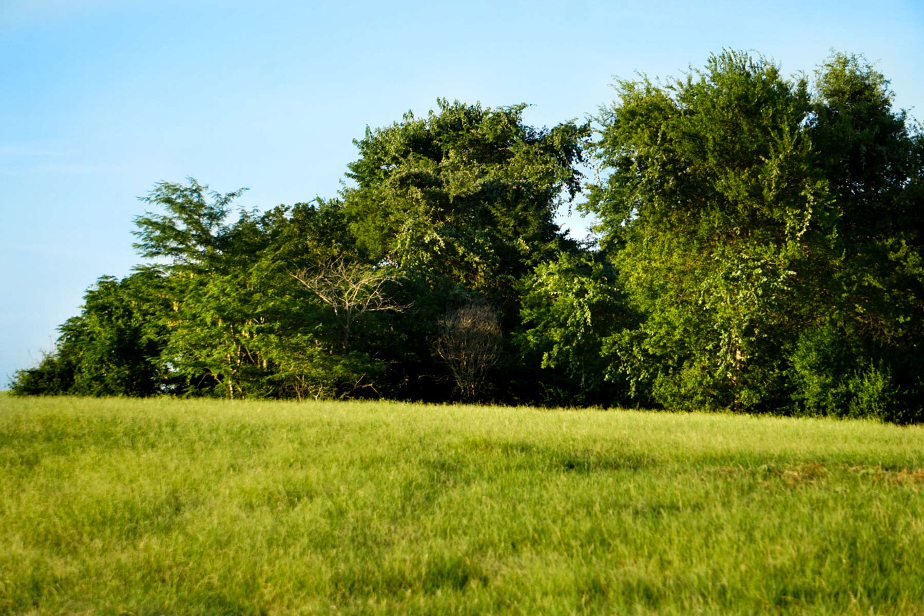 Walnut Creek Ranch property picture 39 of 60