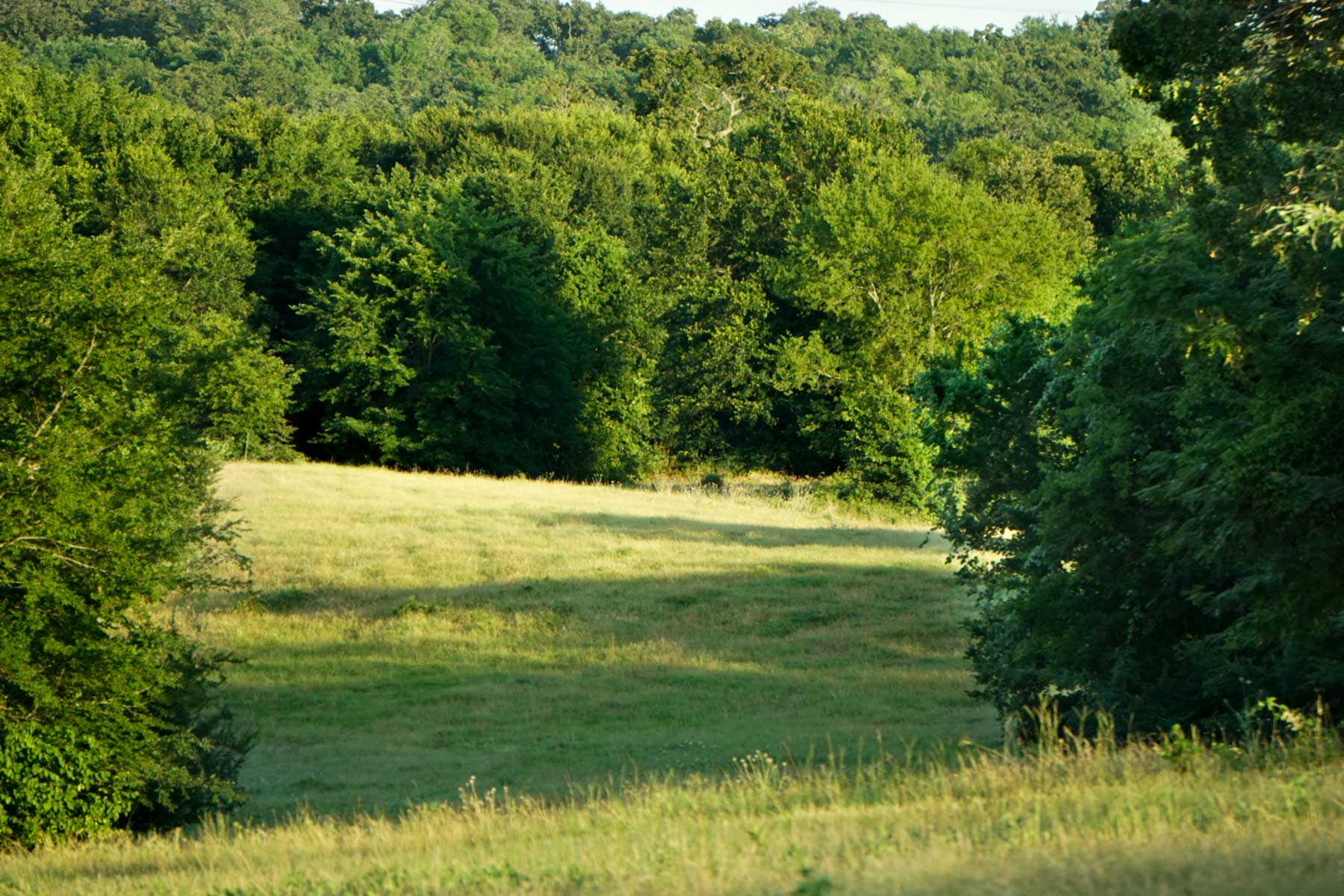 Walnut Creek Ranch property picture 23 of 60