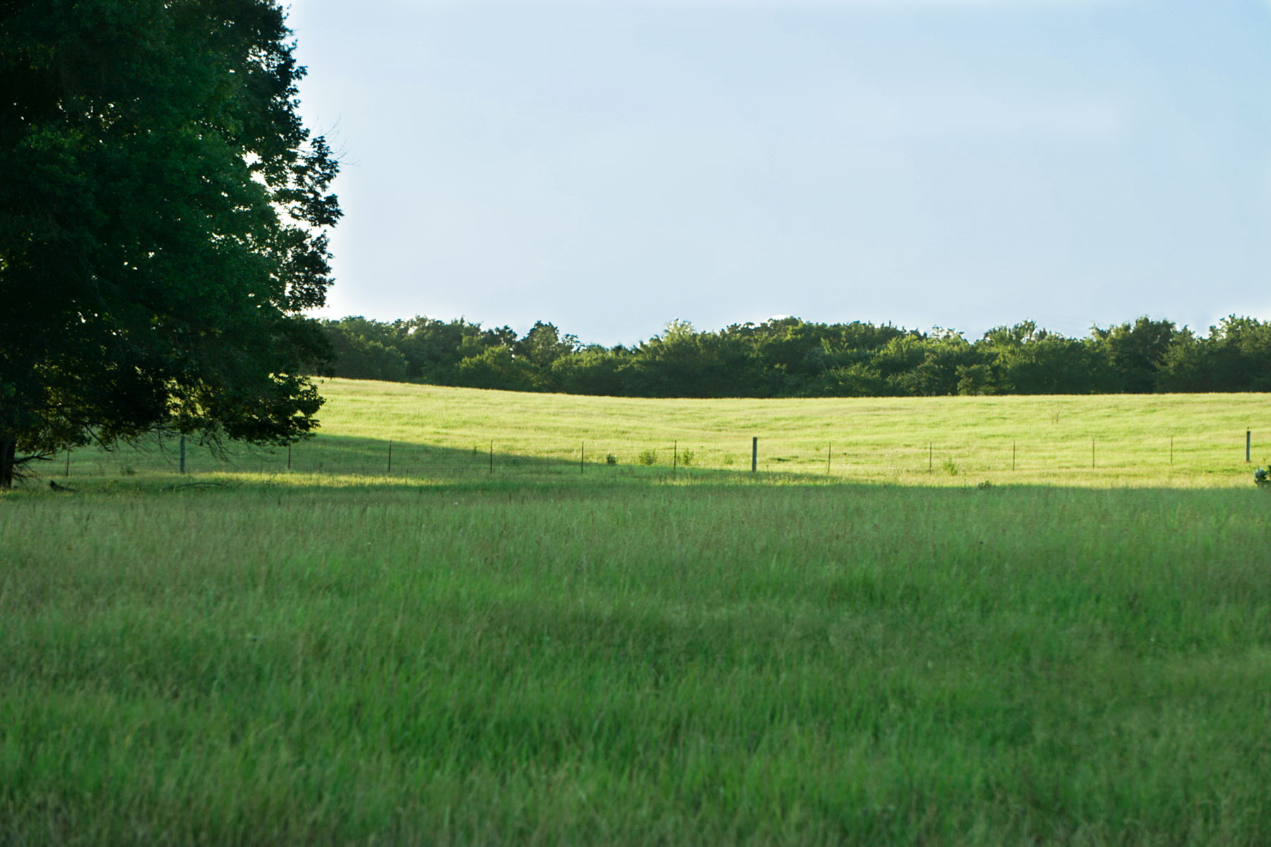 Walnut Creek Ranch property picture 41 of 60