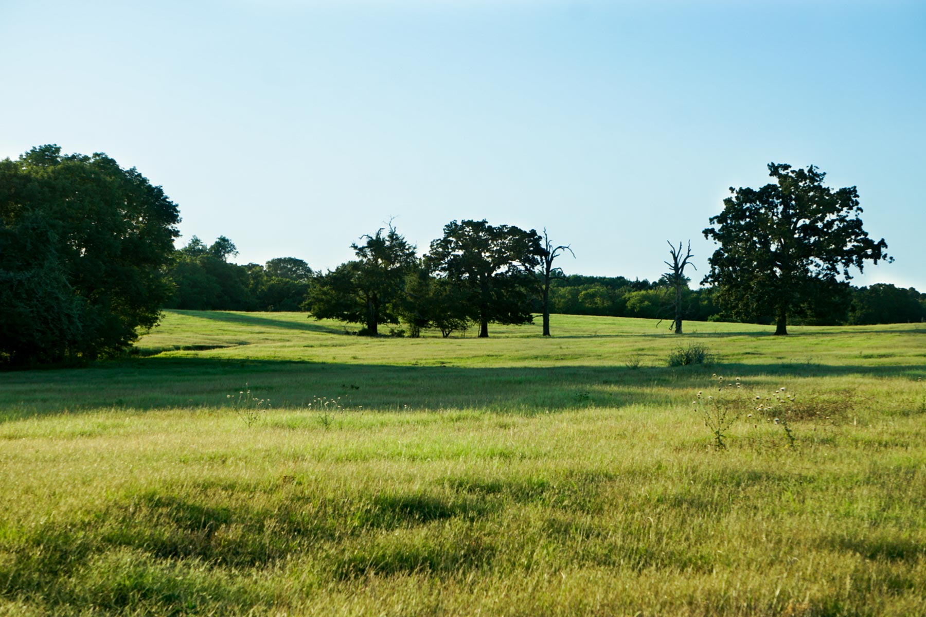 Walnut Creek Ranch property picture 44 of 60