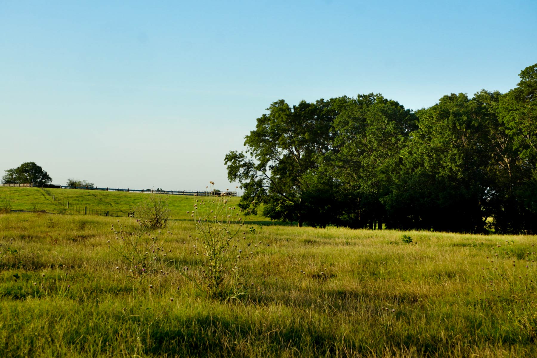 Walnut Creek Ranch property picture 52 of 60