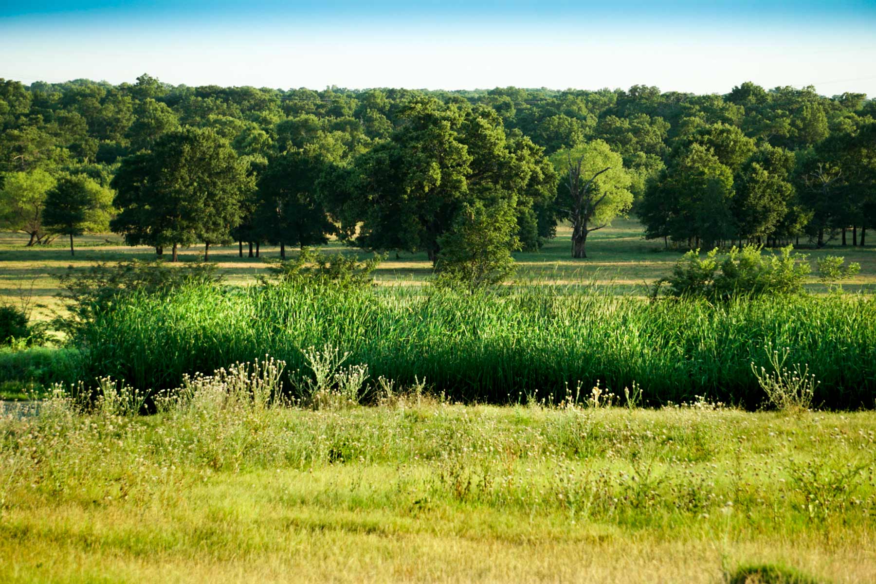 Walnut Creek Ranch property picture 10 of 60