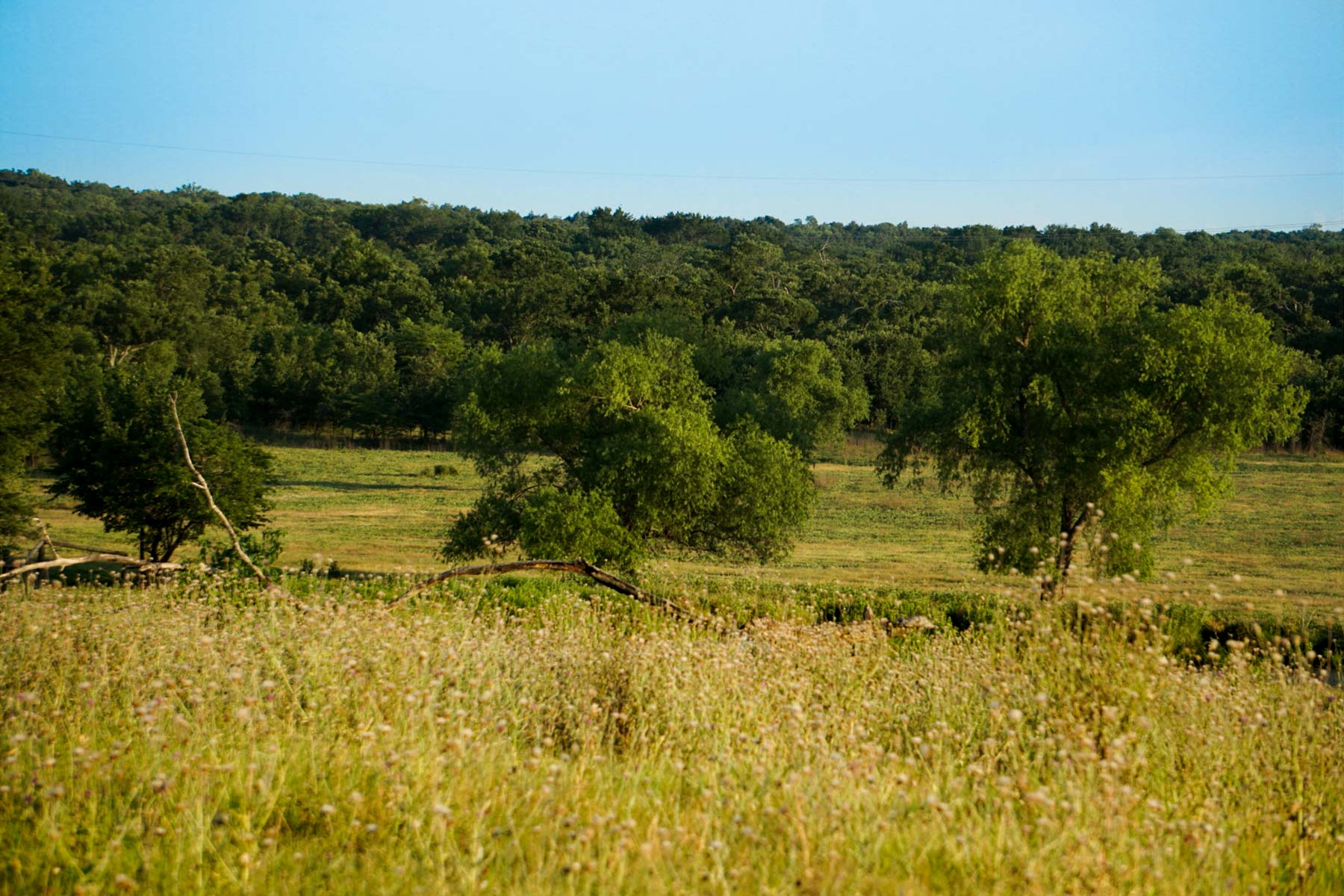 Walnut Creek Ranch property picture 40 of 60