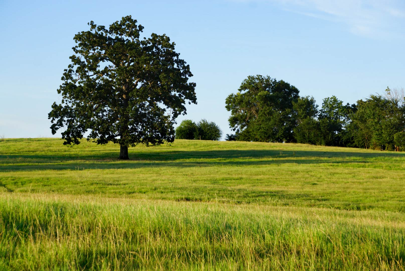 Walnut Creek Ranch property picture 4 of 60