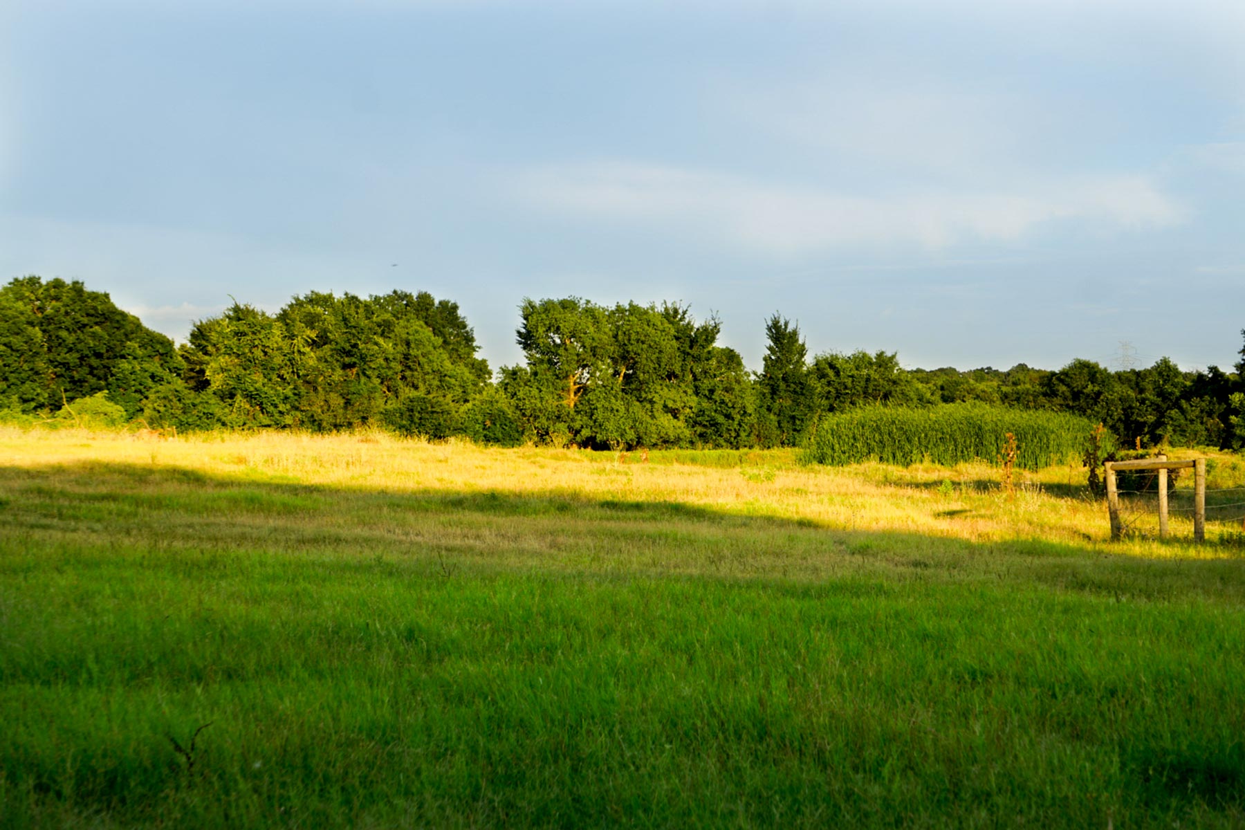 Walnut Creek Ranch property picture 42 of 60