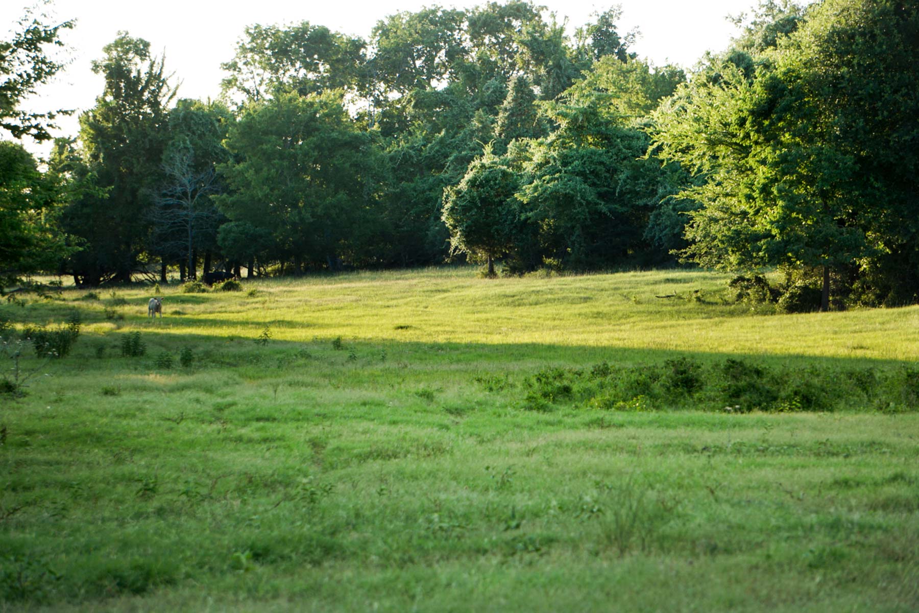 Walnut Creek Ranch property picture 54 of 60