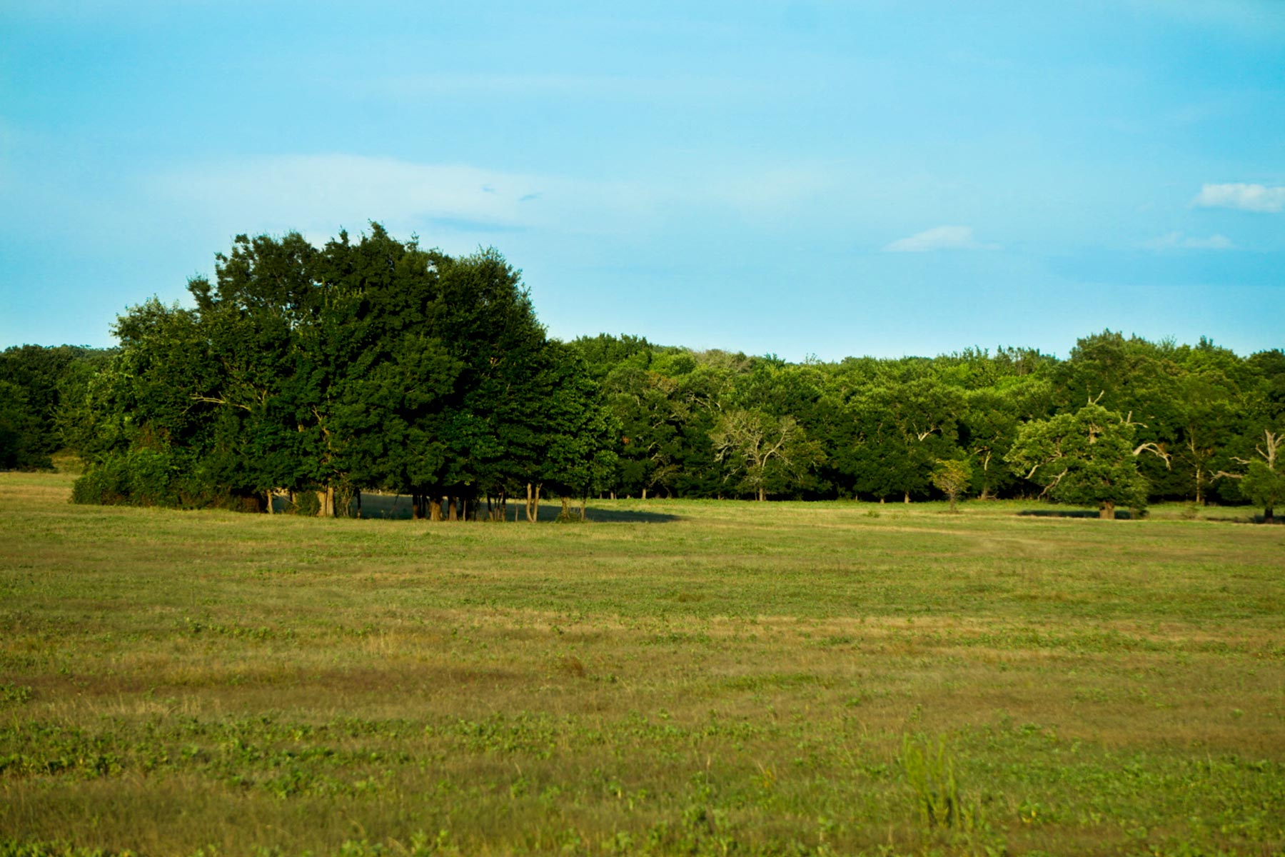 Walnut Creek Ranch property picture 17 of 60