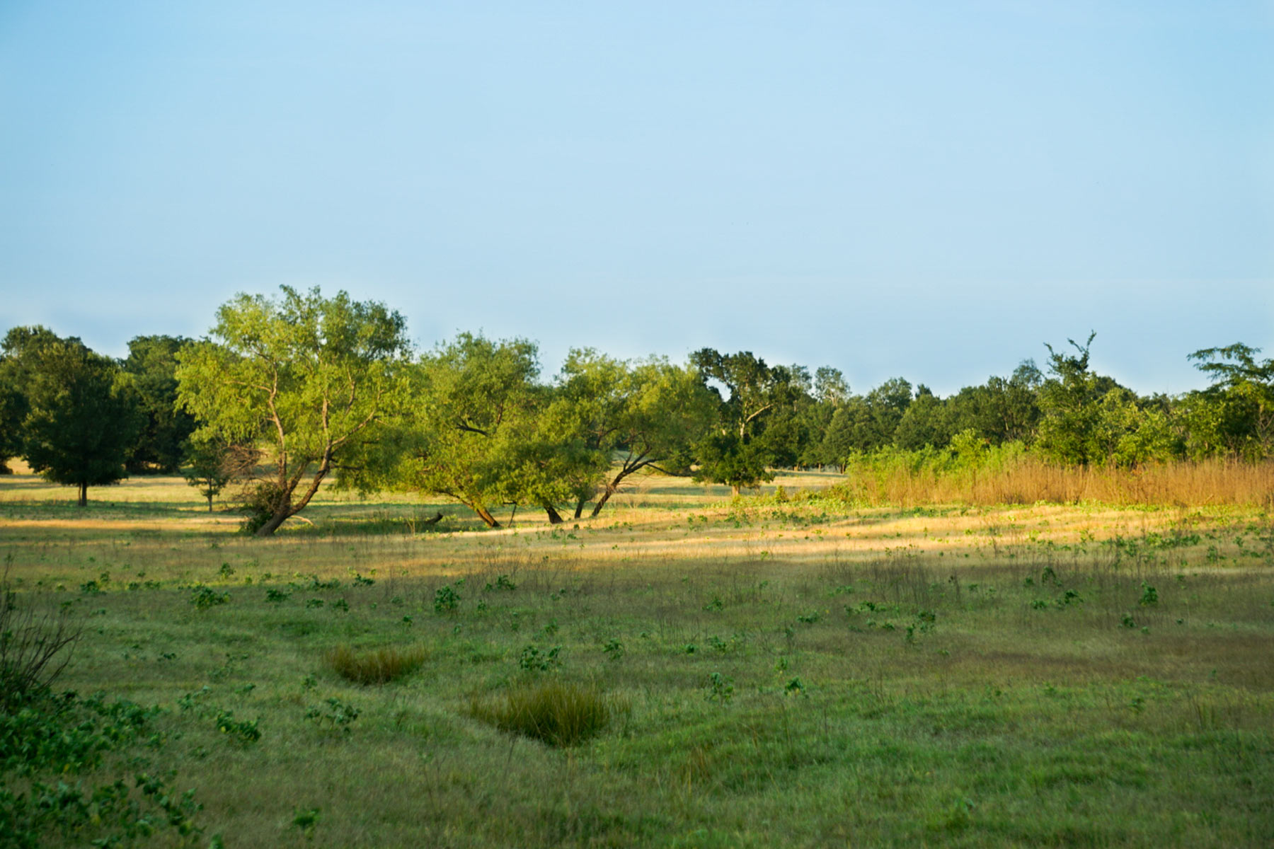 Walnut Creek Ranch property picture 55 of 60