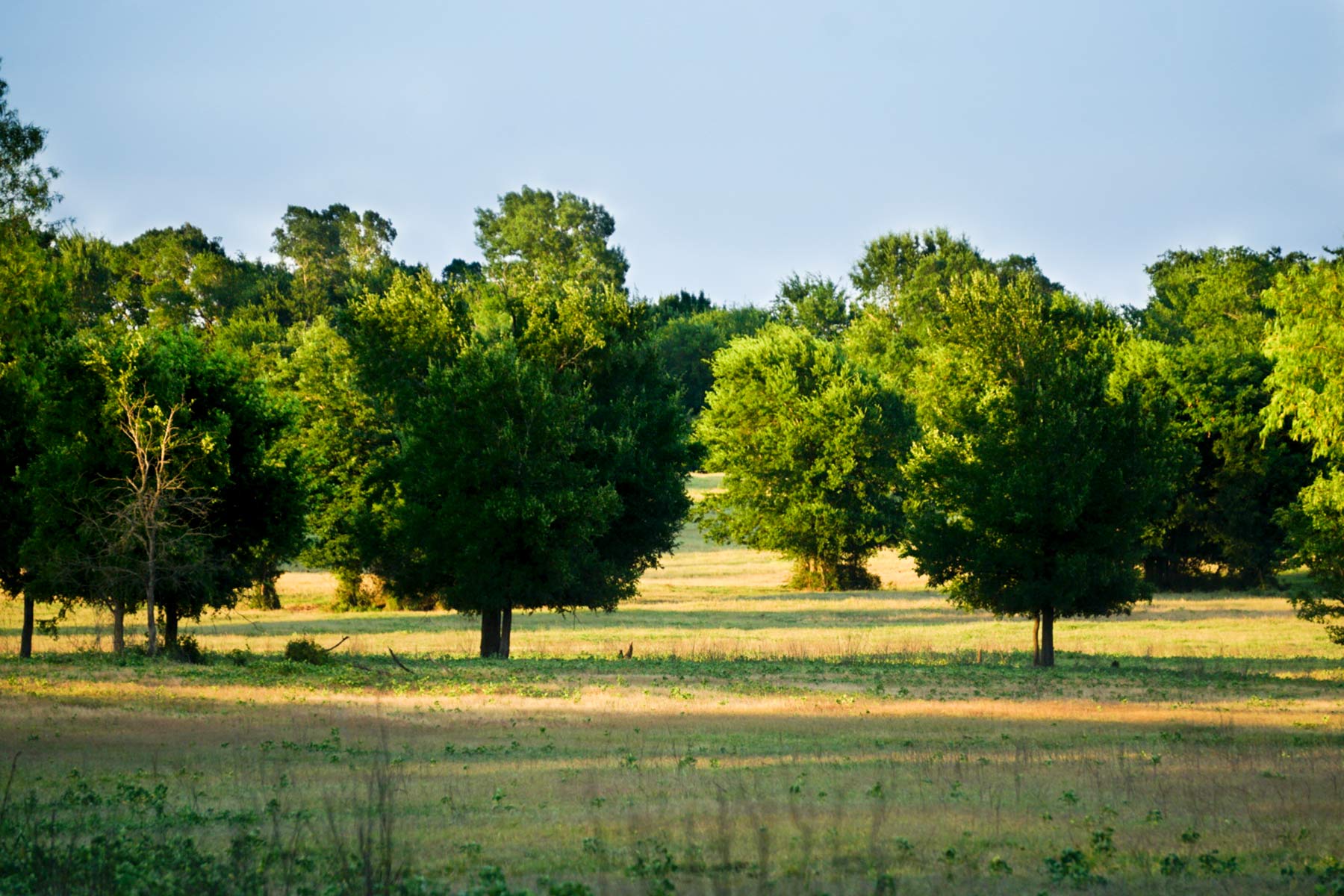 Walnut Creek Ranch property picture 50 of 60