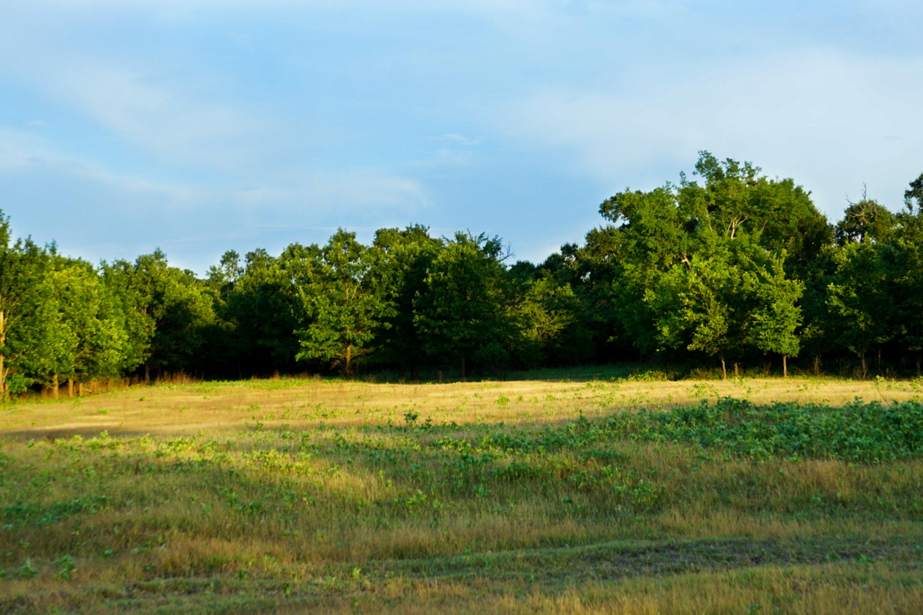 Walnut Creek Ranch property picture 32 of 60
