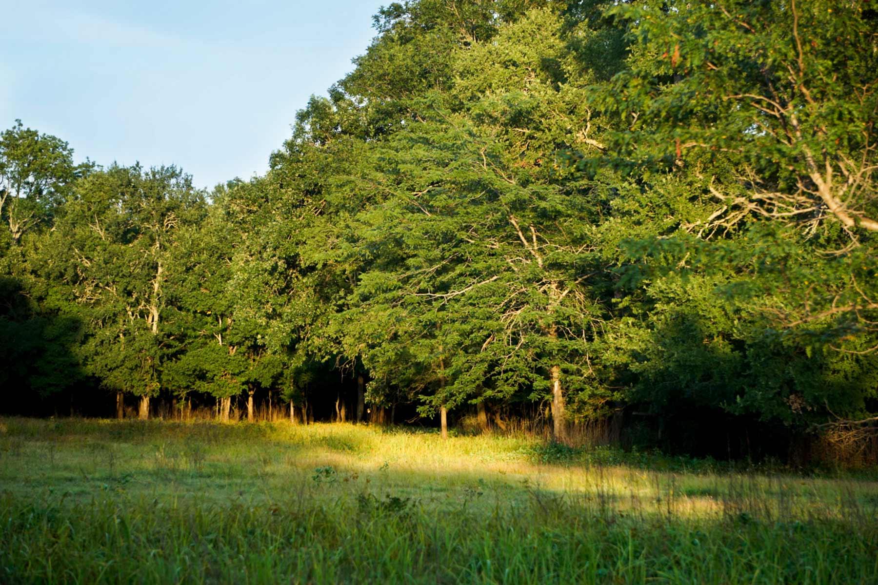 Walnut Creek Ranch property picture 28 of 60