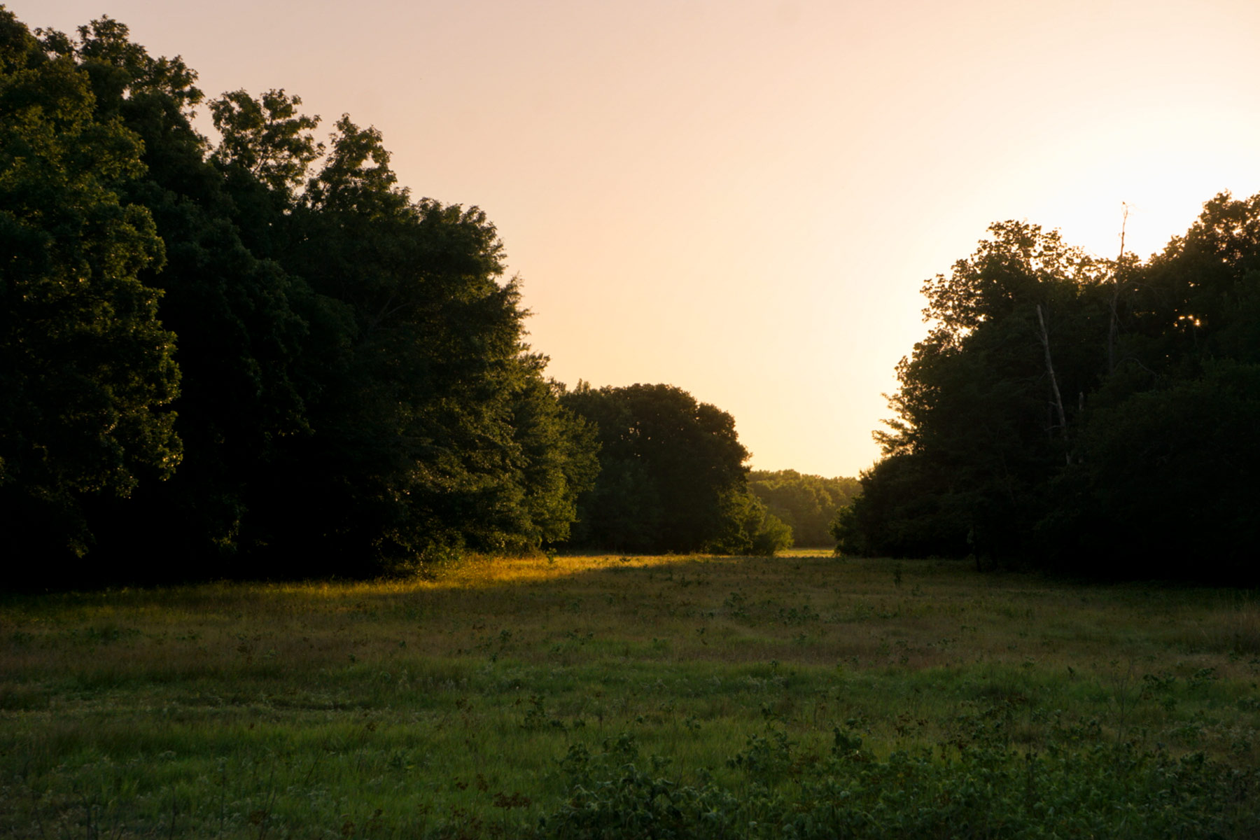 Walnut Creek Ranch property picture 38 of 60