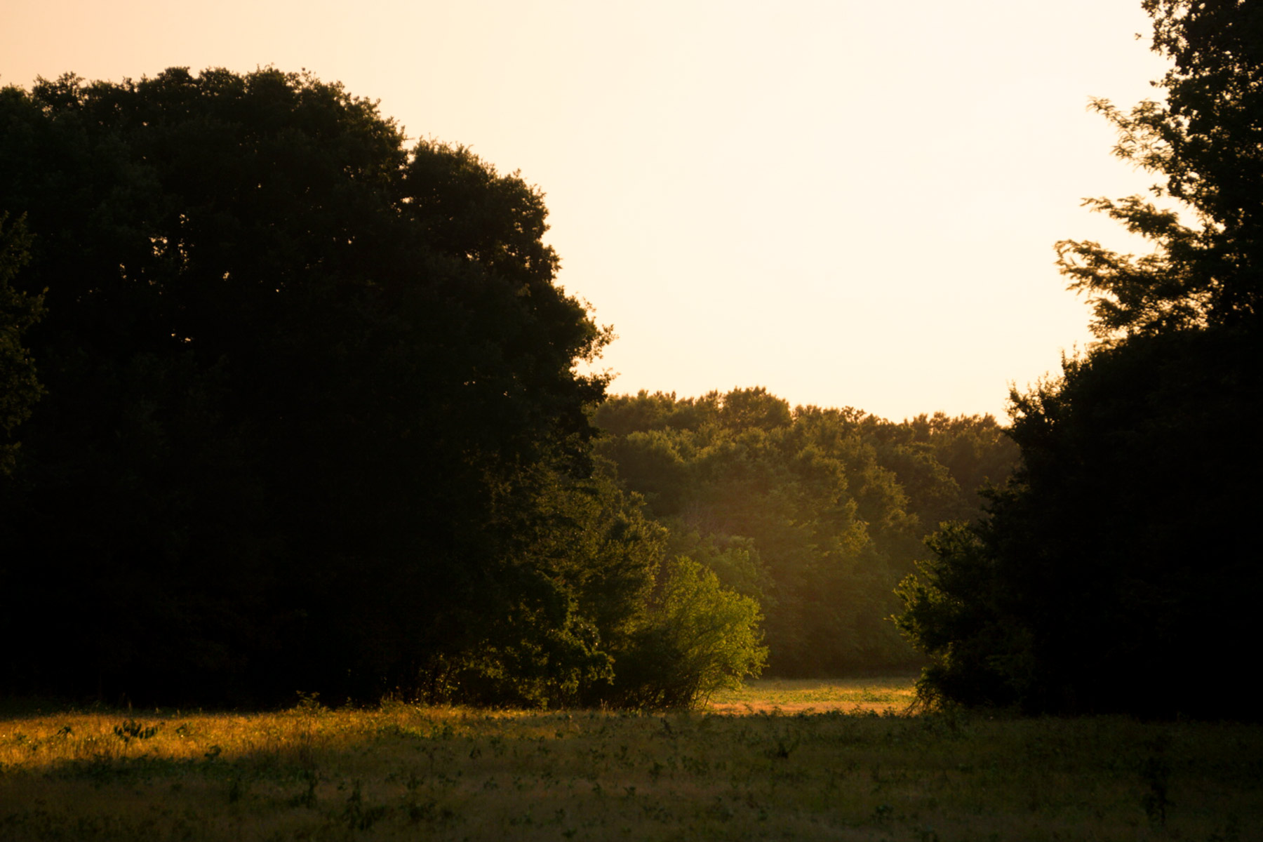 Walnut Creek Ranch property picture 49 of 60