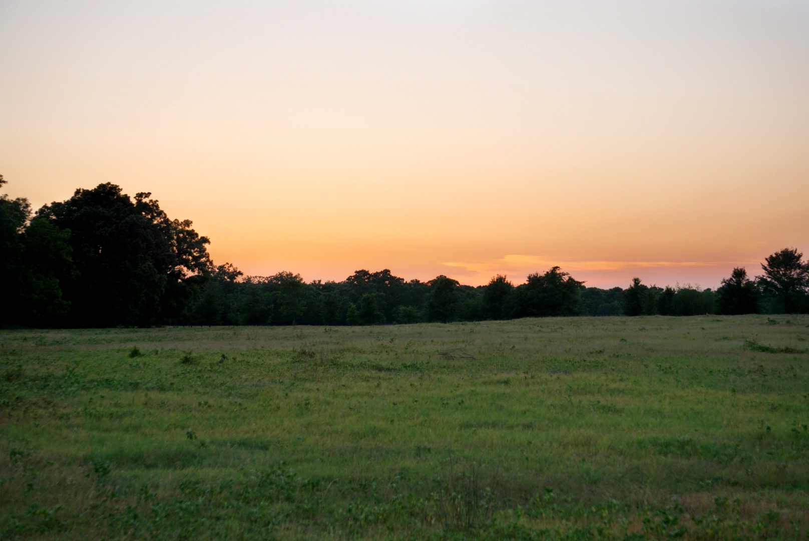 Walnut Creek Ranch property picture 8 of 60