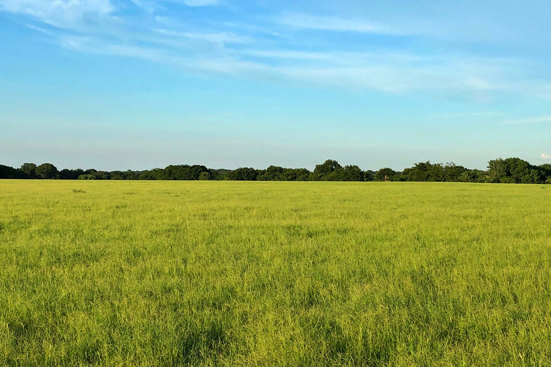 Walnut Creek Ranch property picture 51 of 60