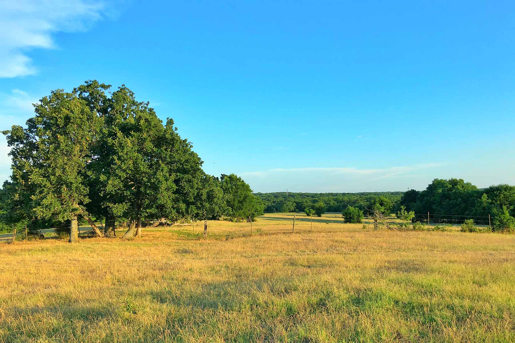 Walnut Creek Ranch property picture 48 of 60
