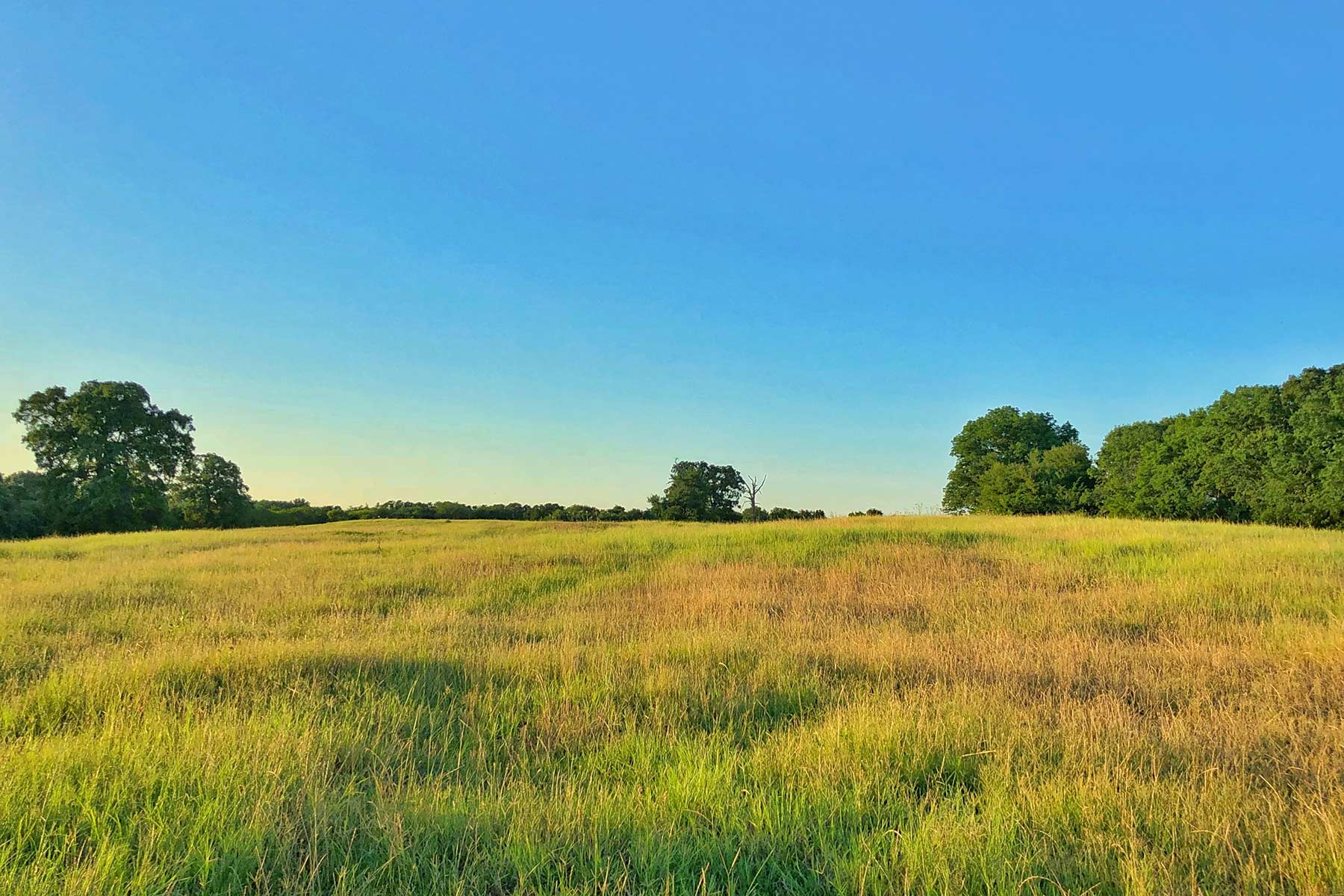 Walnut Creek Ranch property picture 53 of 60