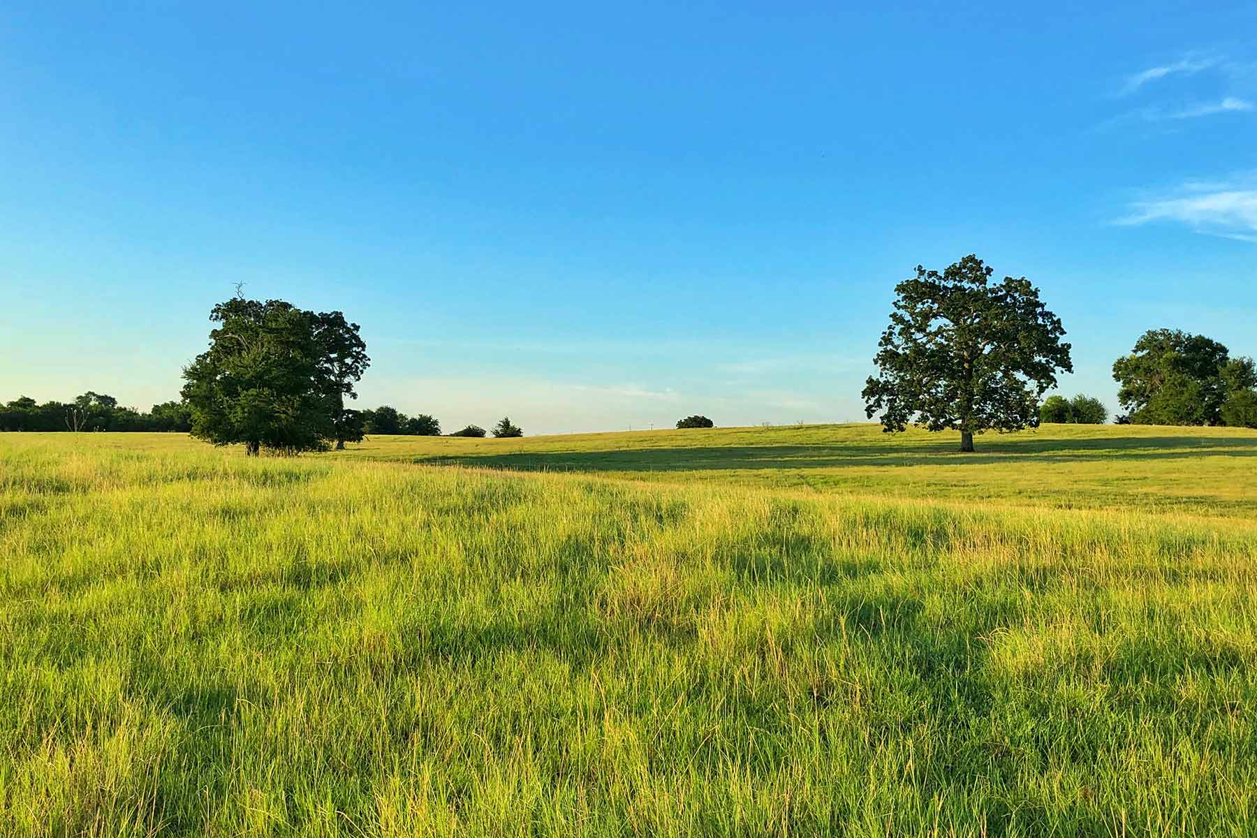 Walnut Creek Ranch property picture 57 of 60