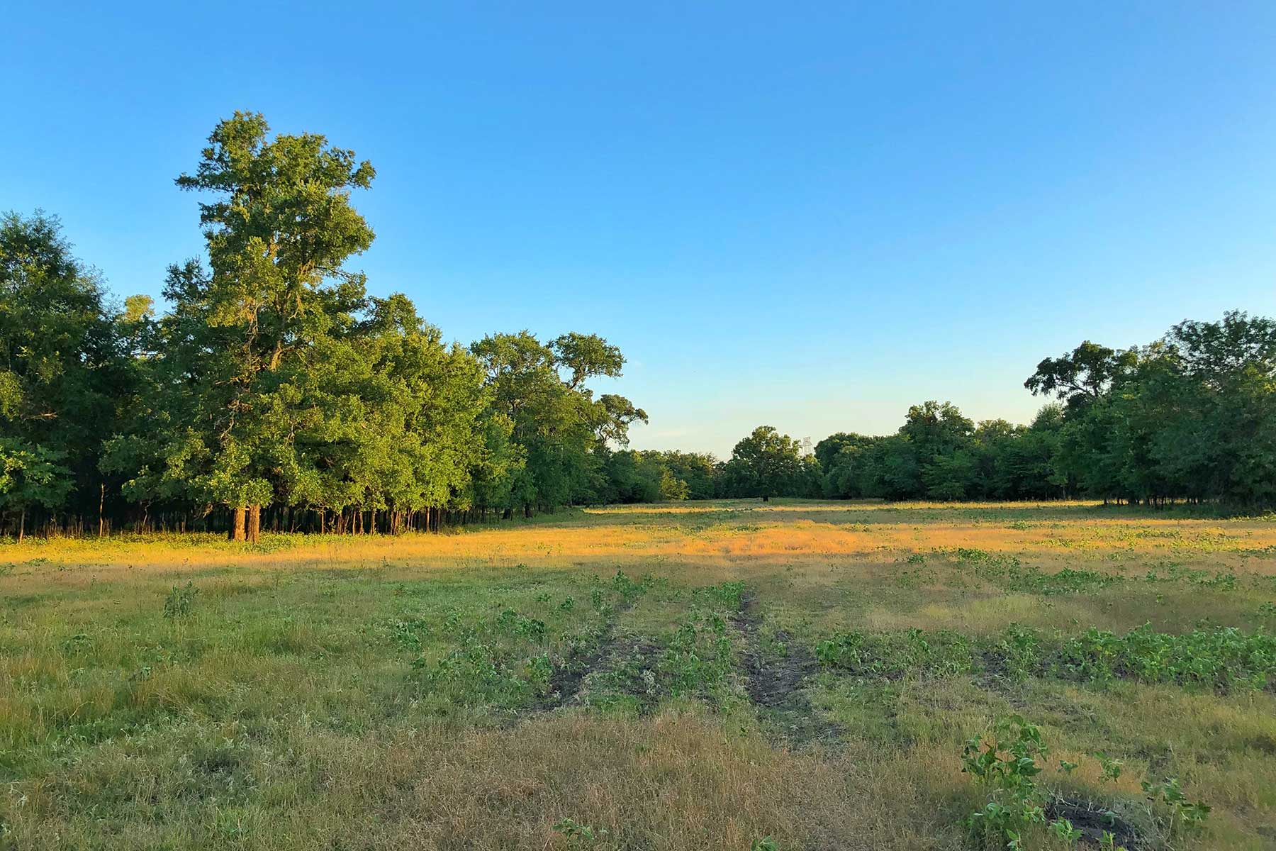 Walnut Creek Ranch Sold Texas Hall and Hall