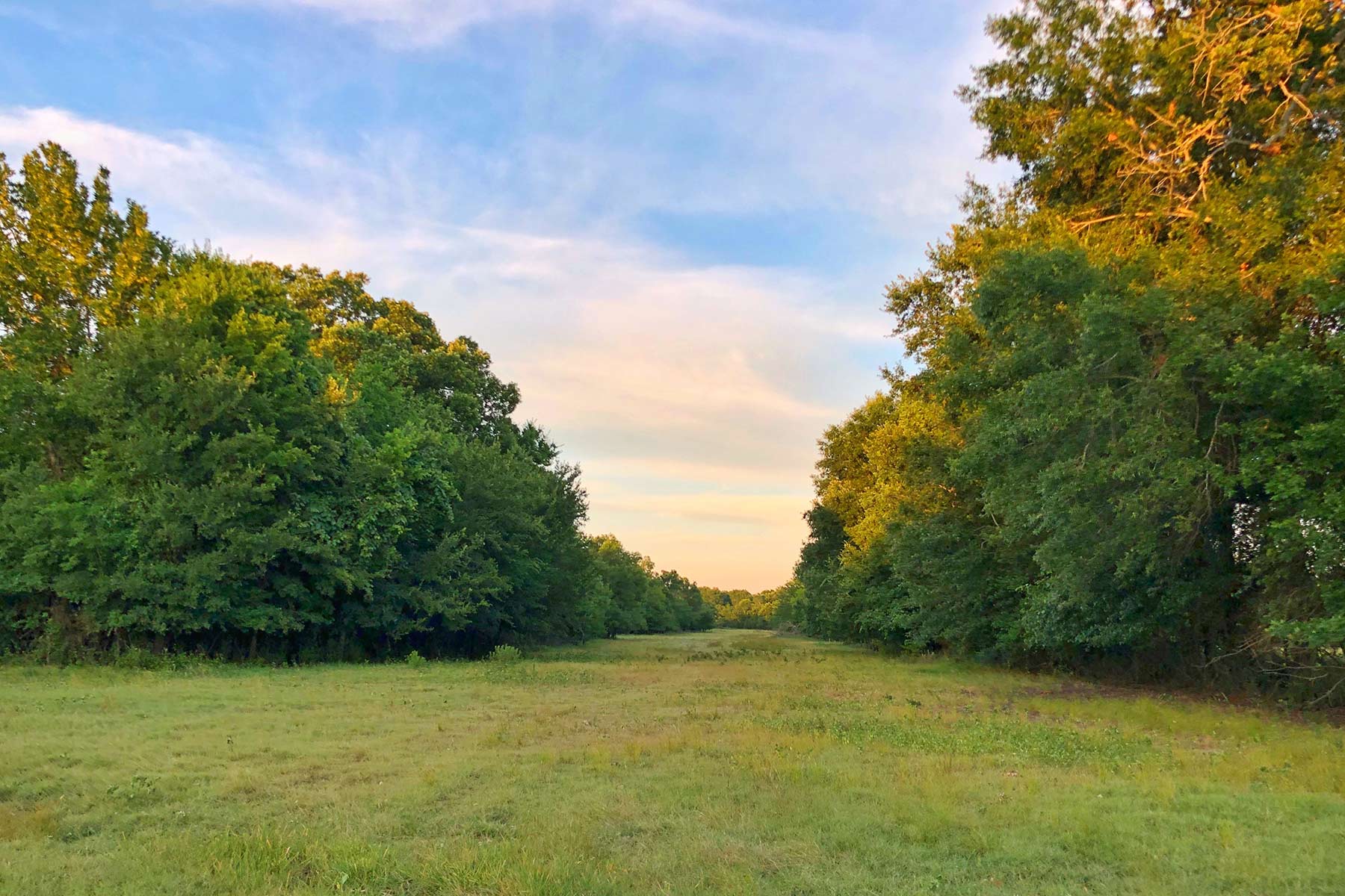 Walnut Creek Ranch property picture 30 of 60