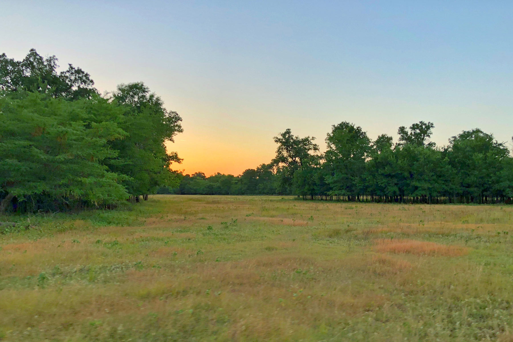 Walnut Creek Ranch property picture 33 of 60