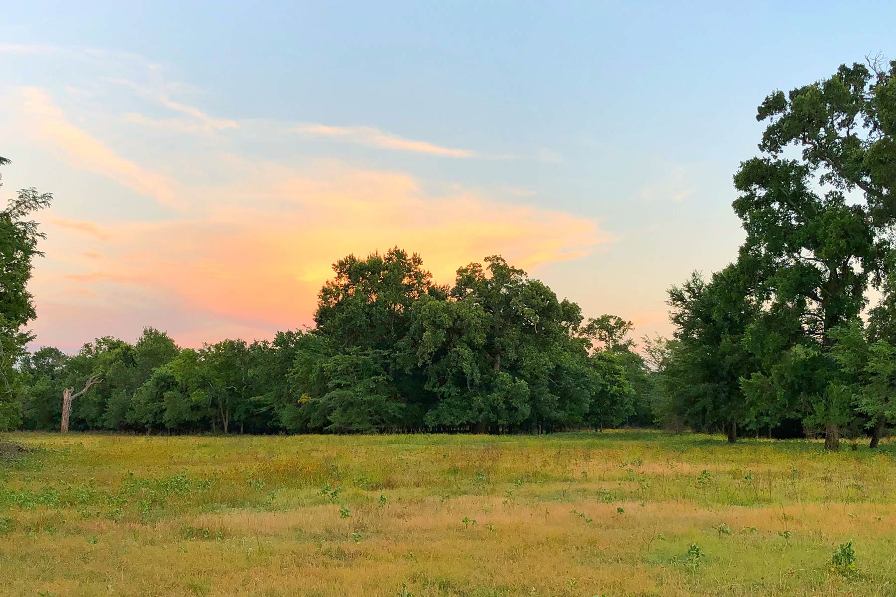 Walnut Creek Ranch property picture 9 of 60