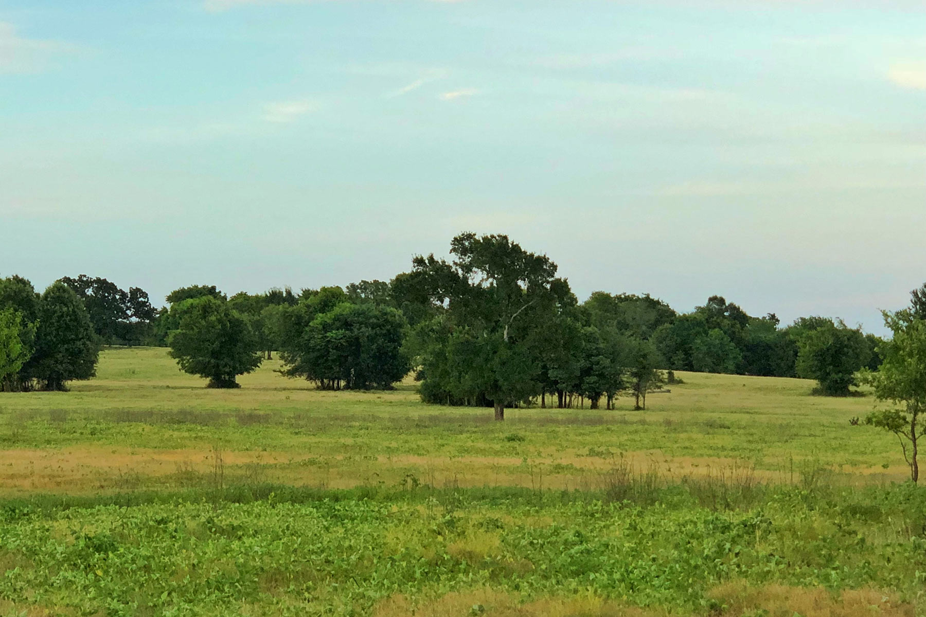 Walnut Creek Ranch property picture 43 of 60