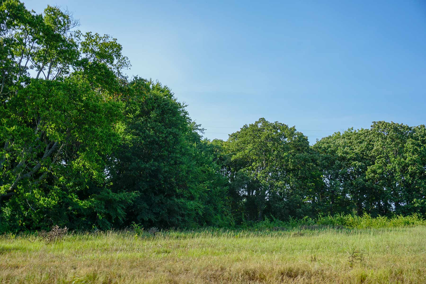 Cross Roads Pasture property picture 5 of 16