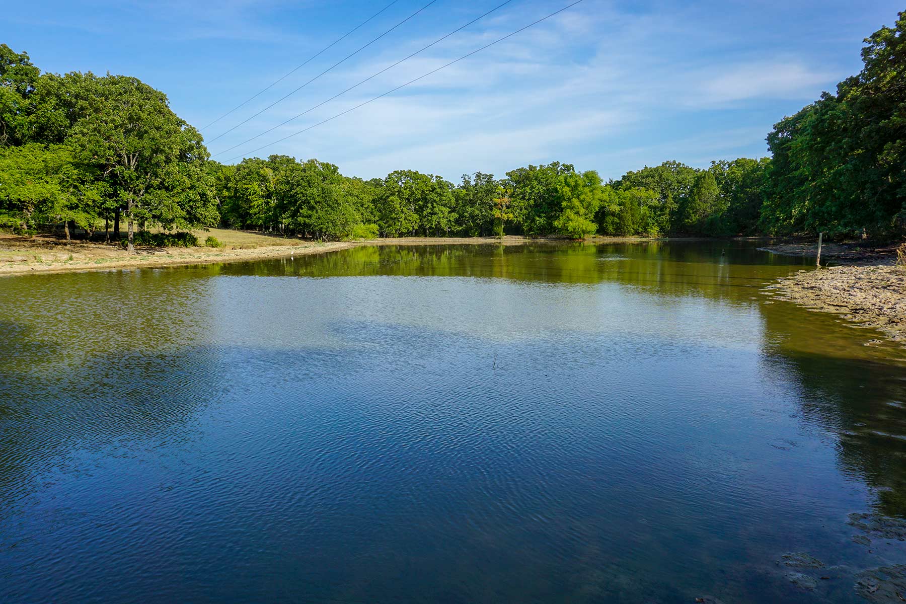 Cross Roads Pasture property picture 3 of 16