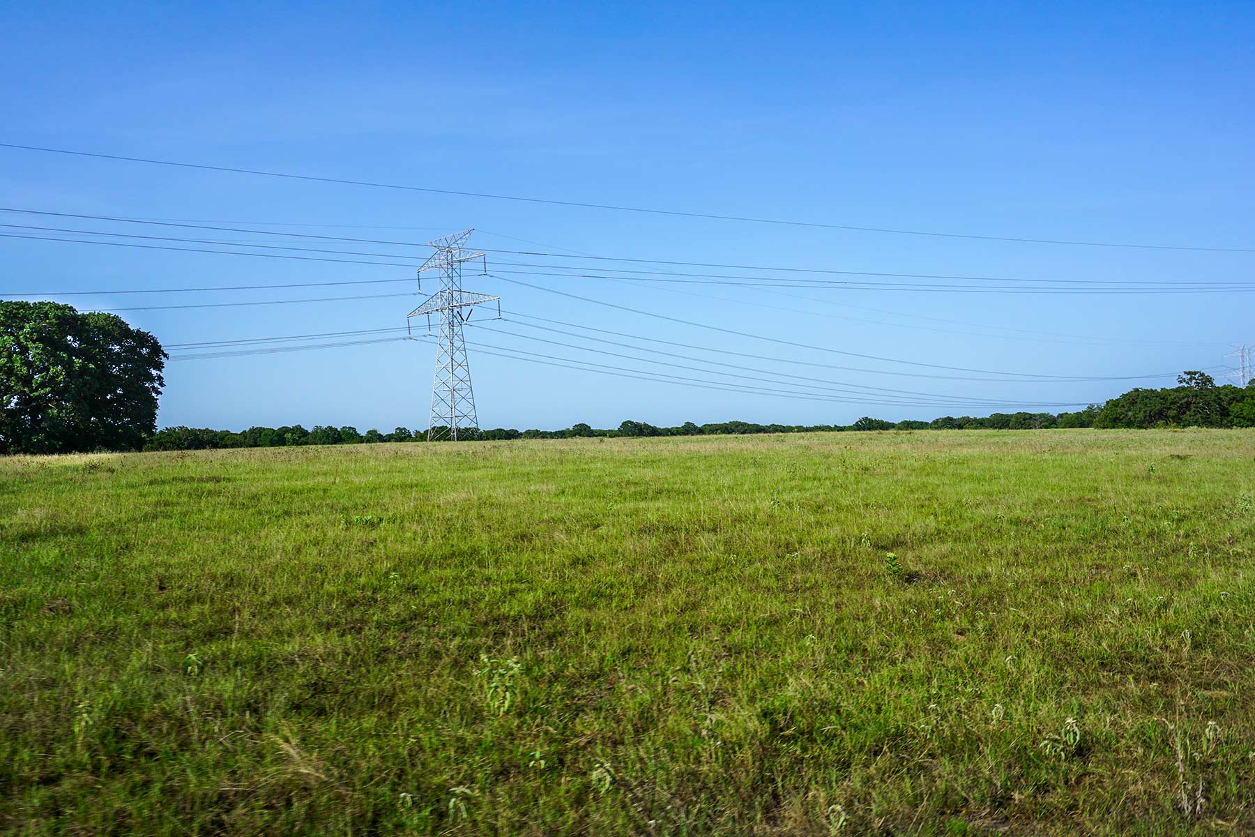 Cross Roads Pasture property picture 13 of 16