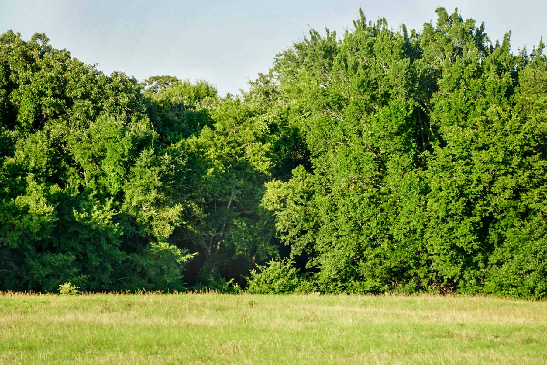 Cross Roads Pasture property picture 7 of 16