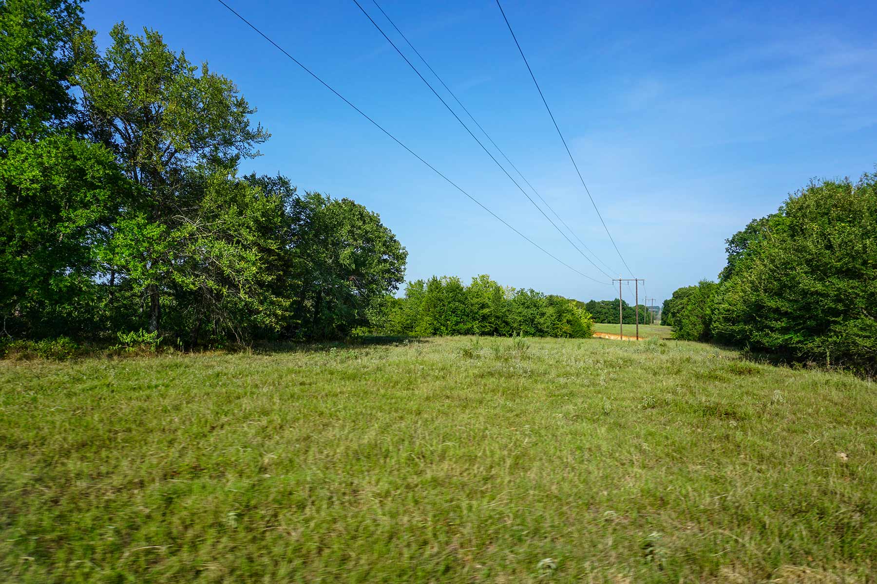 Cross Roads Pasture property picture 16 of 16