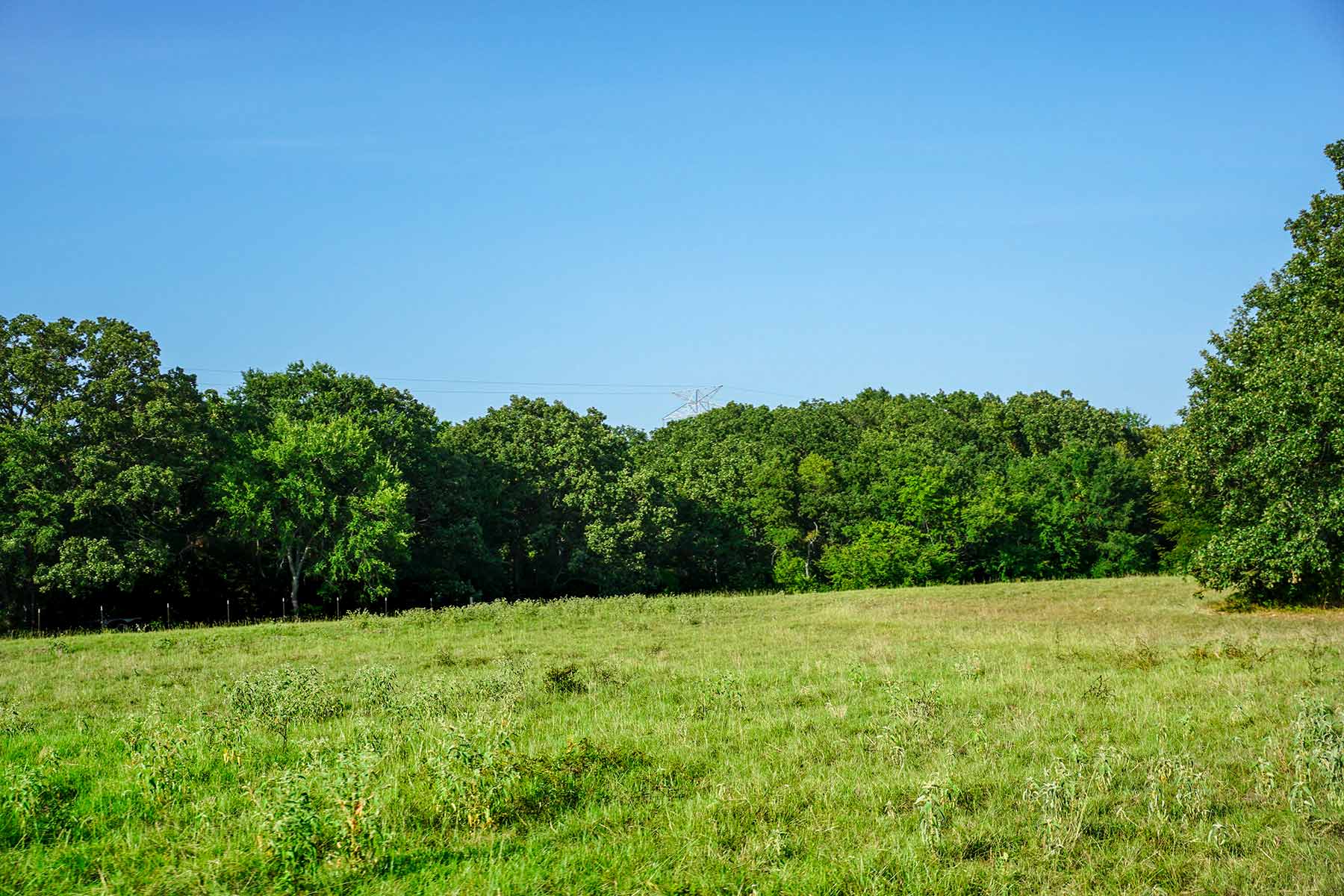Cross Roads Pasture property picture 8 of 16