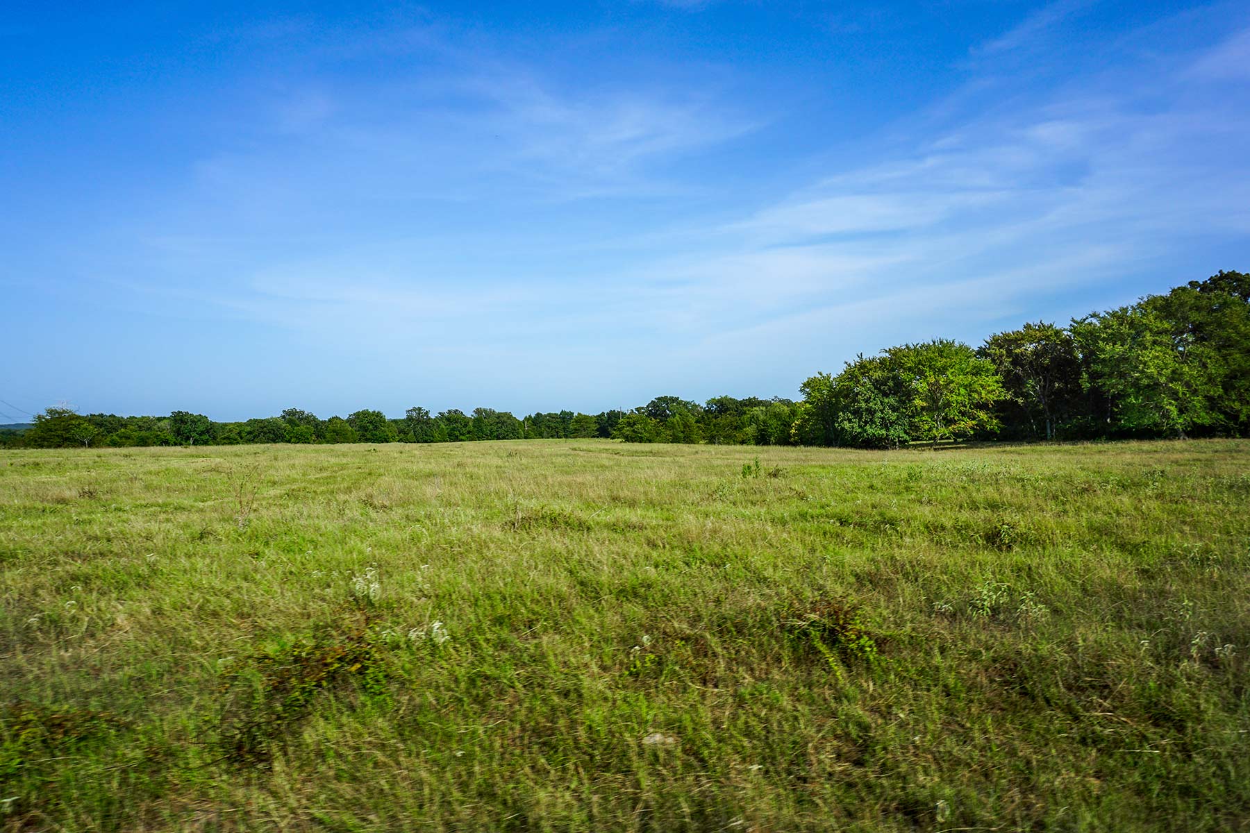 Cross Roads Pasture property picture 15 of 16