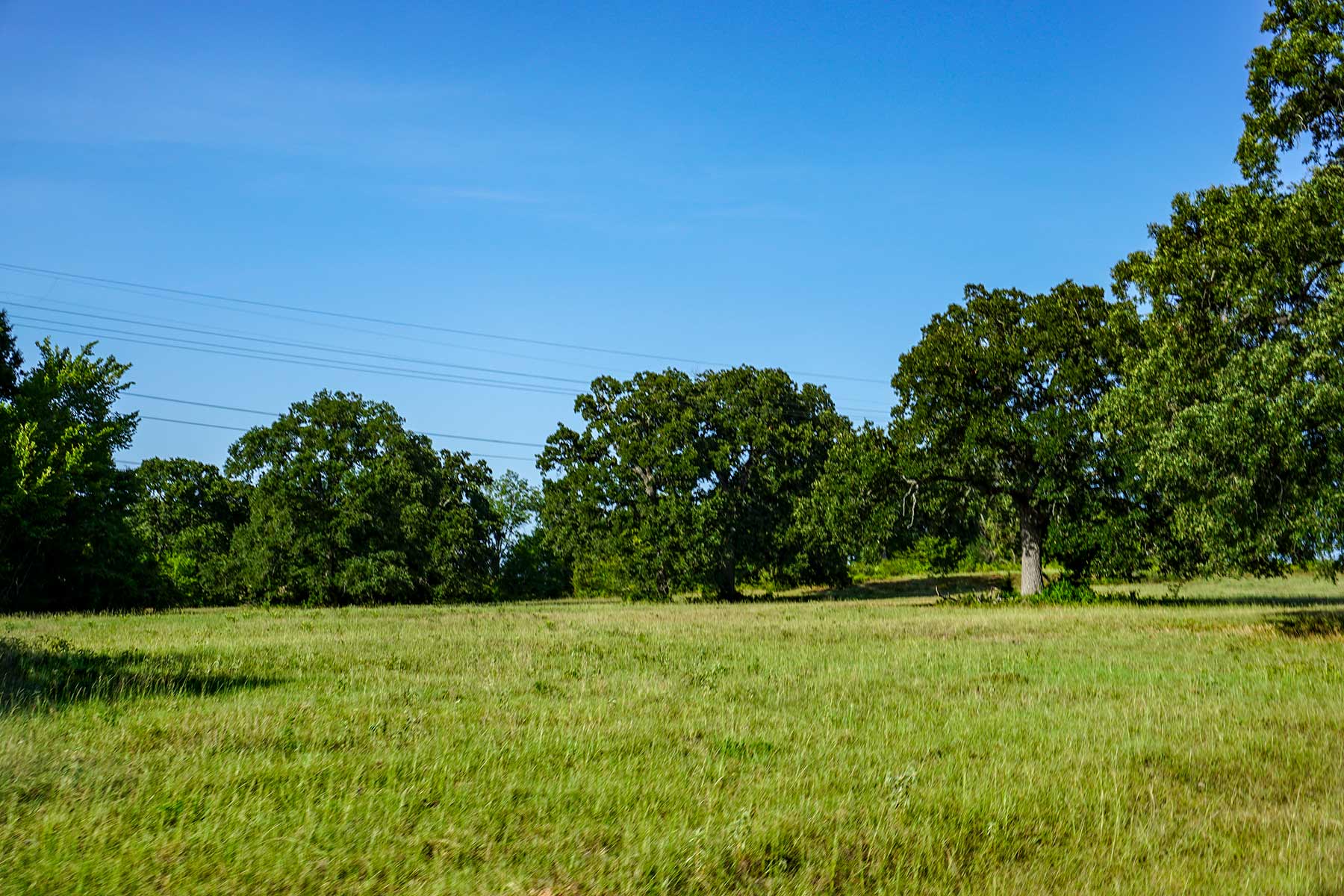 Cross Roads Pasture property picture 10 of 16