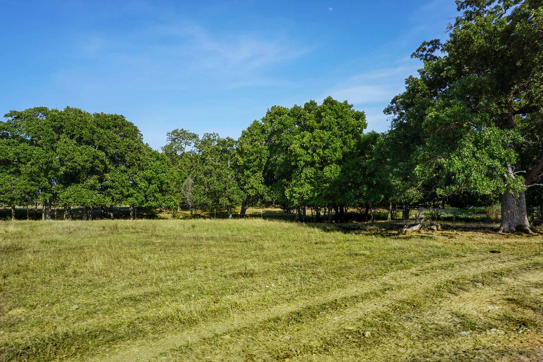 Cross Roads Pasture property picture 14 of 16