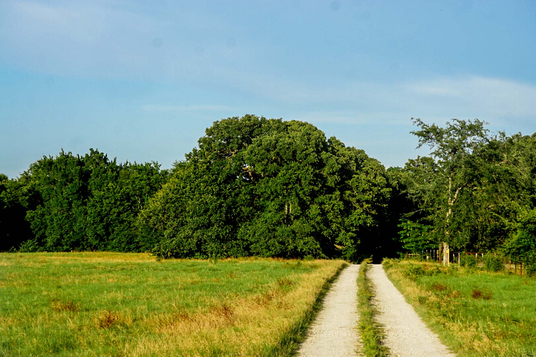 Cross Roads Pasture property picture 6 of 16