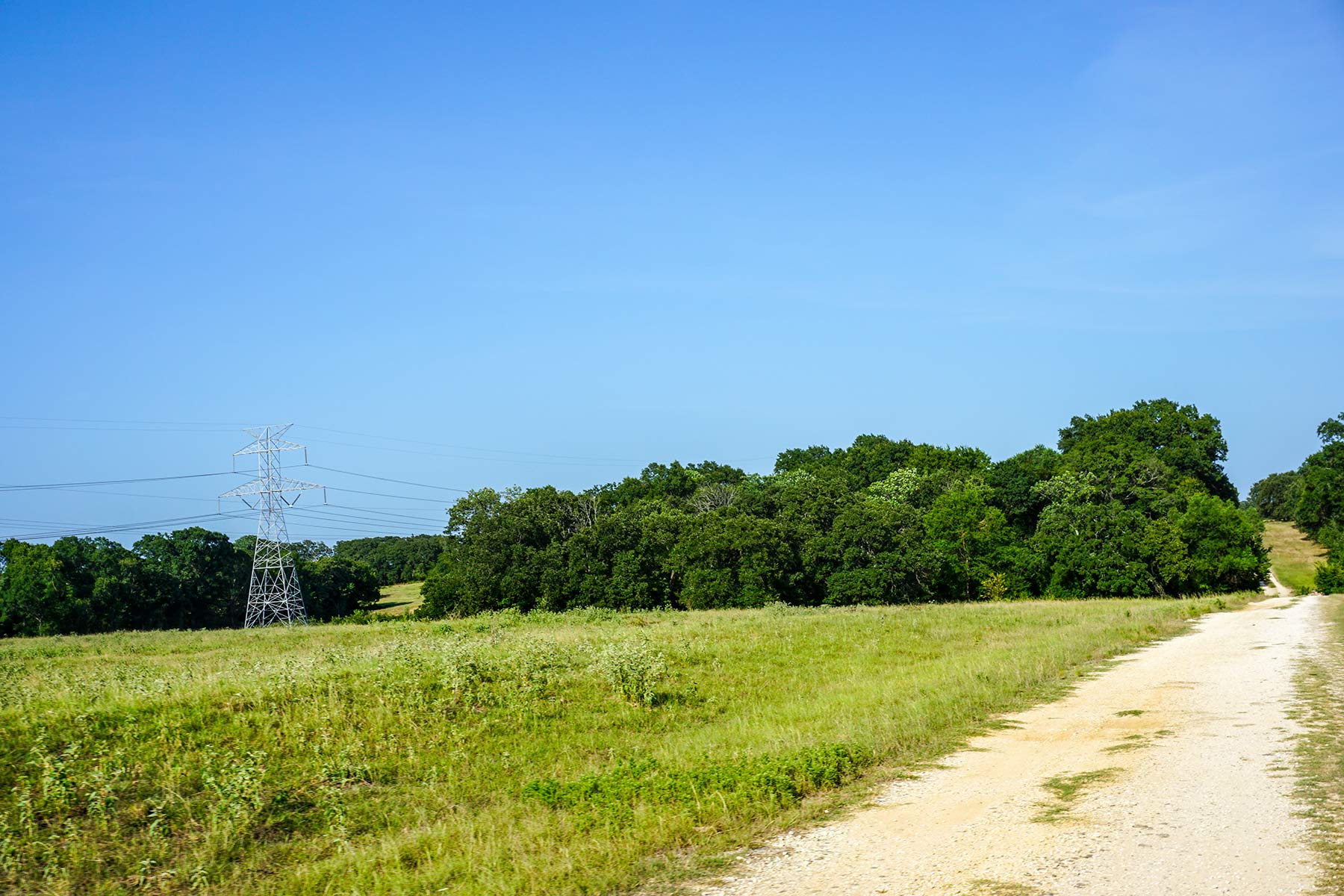 Cross Roads Pasture property picture 11 of 16